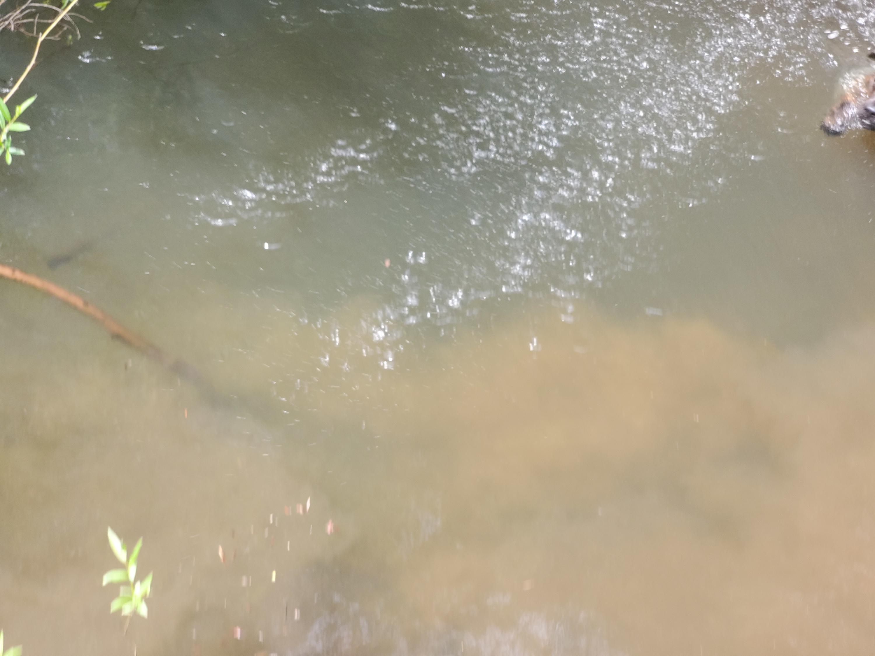 N/A - Commercial Sale