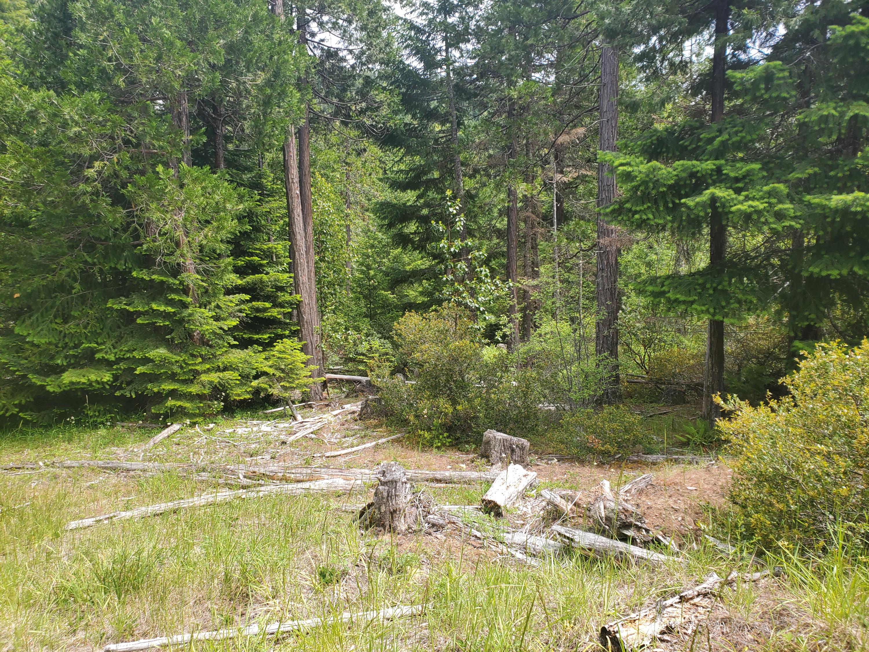 N/A - Commercial Sale