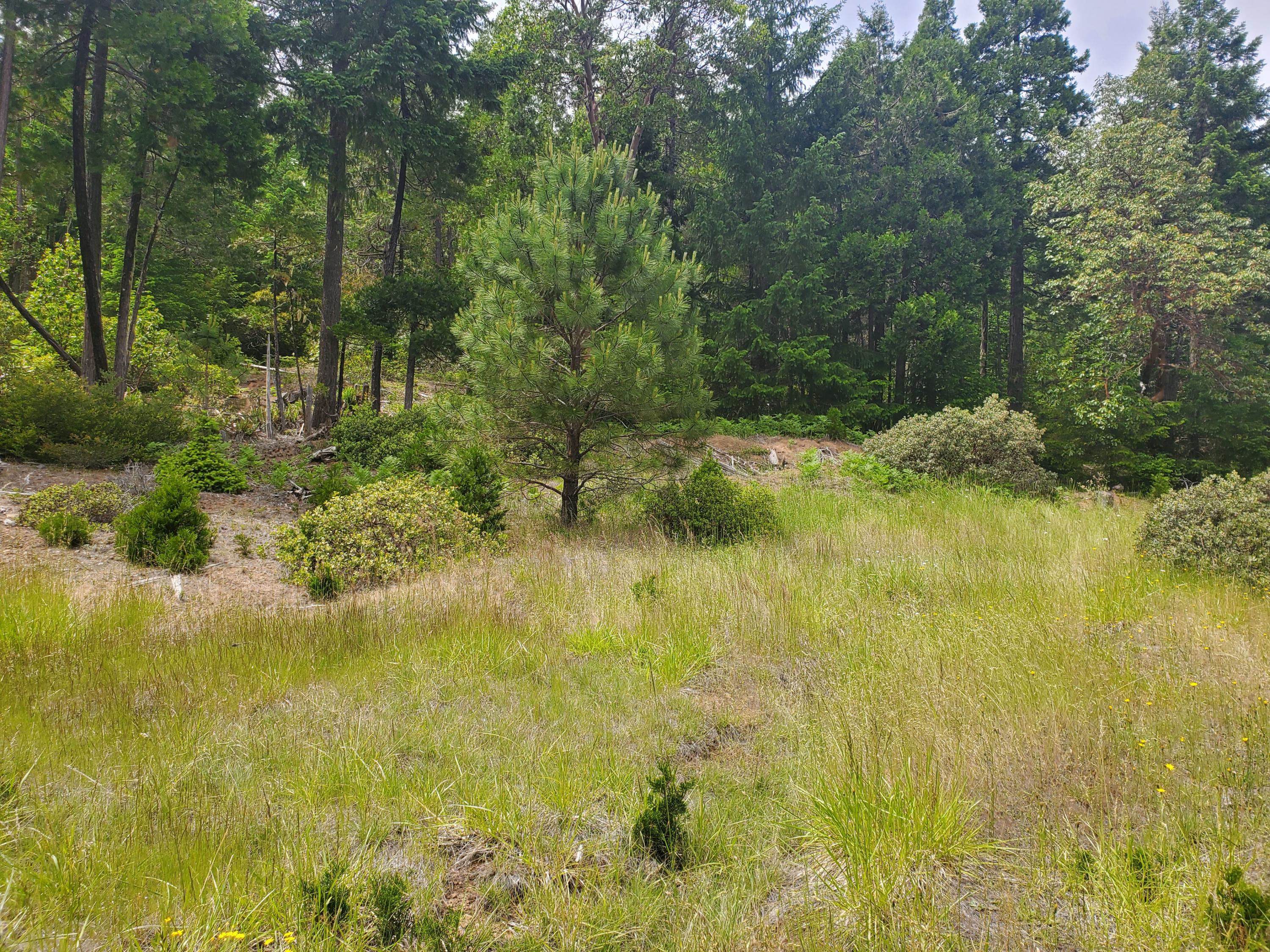 N/A - Commercial Sale