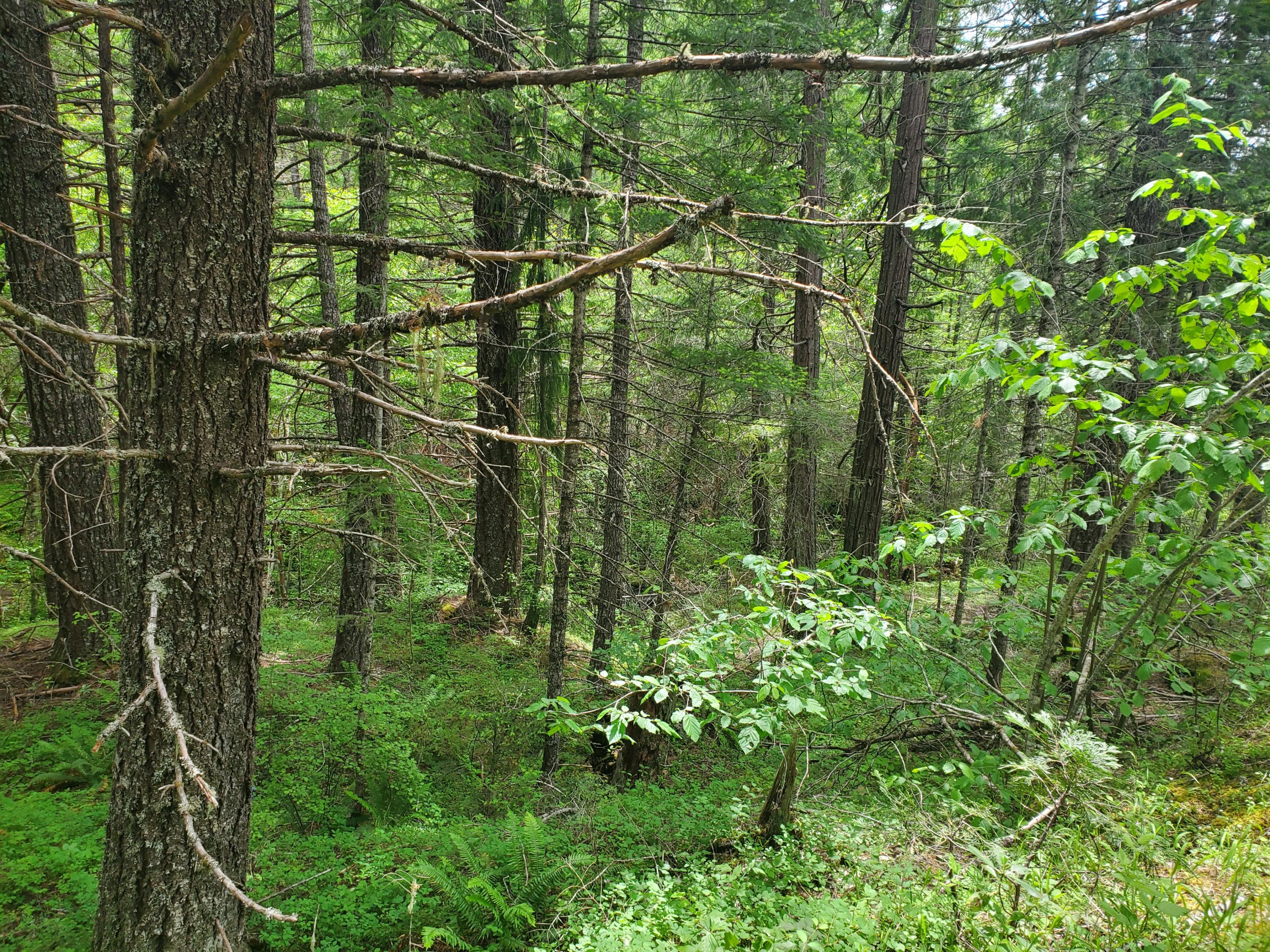 N/A - Commercial Sale