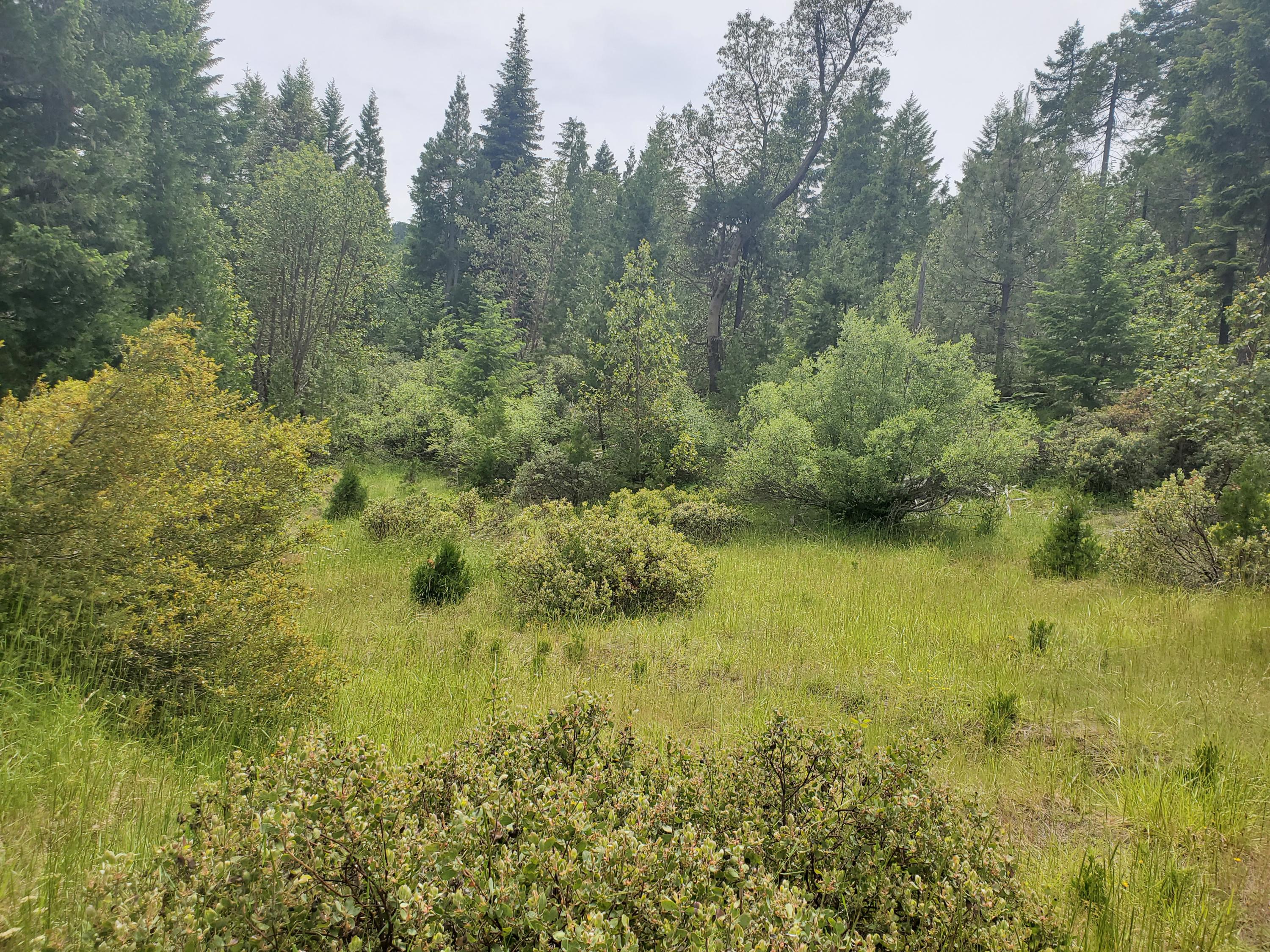 N/A - Commercial Sale