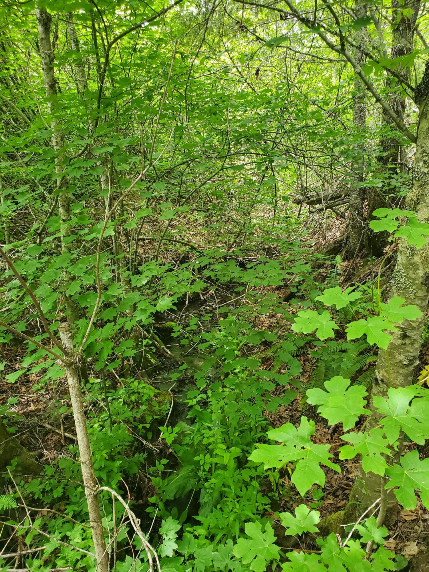 N/A - Commercial Sale