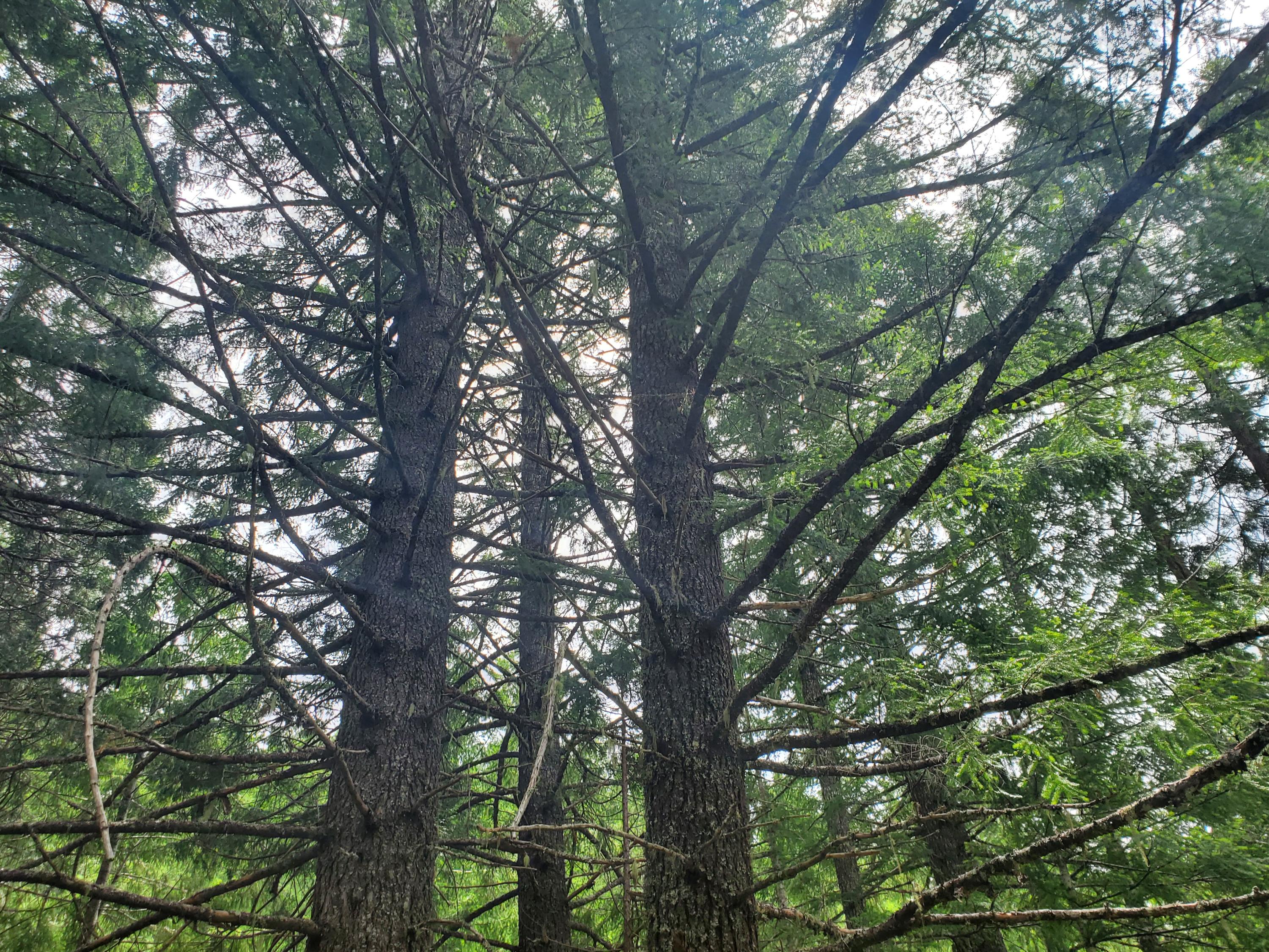 N/A - Commercial Sale