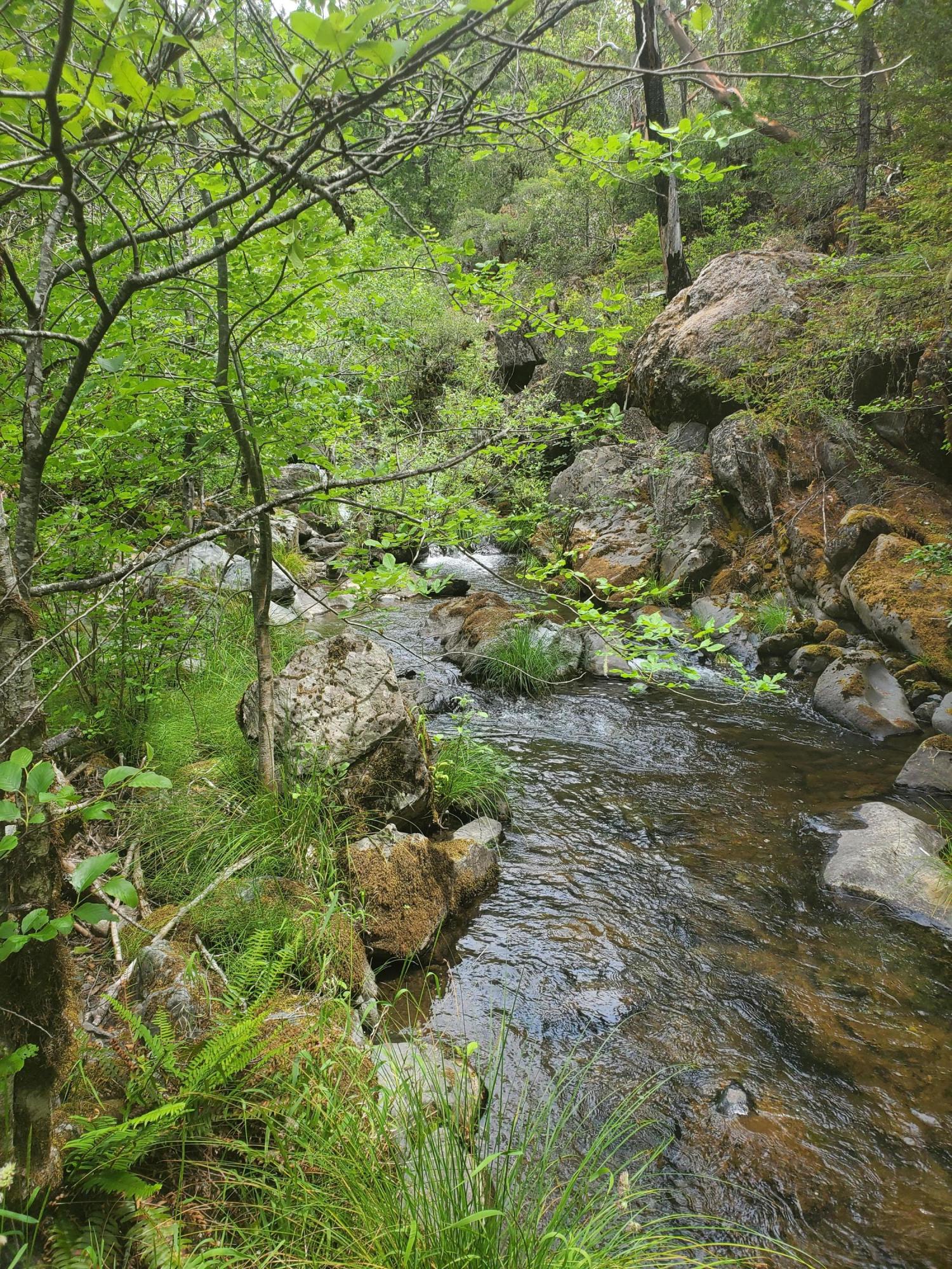 N/A - Commercial Sale