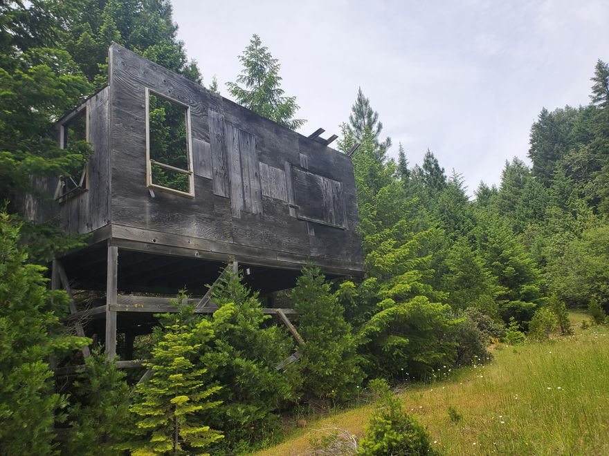 Beautiful all Southern Exposure / Owner Carry. Not far from Rogue River,  or Grants Pass  . I-5.  Recreation parks , boat docks . River access , Hiking . Property sits about 11 miles on outskirts of beautiful city Rogue River , GPS to Queens Branch Rd turn right  at fork 1 mile  approx to property on right side of road. property is surrounded by beautiful creeks . Property  also heavily timbered on the back half of each parcel .  Two individual Parcels being sold together. R300993 Parcel 20.41 acre, R300986 parcel 15.94 acres total together = 36.35 . Property holds  opportunity to build either cabin or farm house  . Each agricultural  parcel could hold one home . Due diligence to the planning department. Property is private , unique, beautiful & only a few min drive to I-5.  The property also holds the name of Jump Off Joe Creek.  The creeks name dates to the 1830s, when the only non-native people in Southern Oregon were transient fur trappers & expl