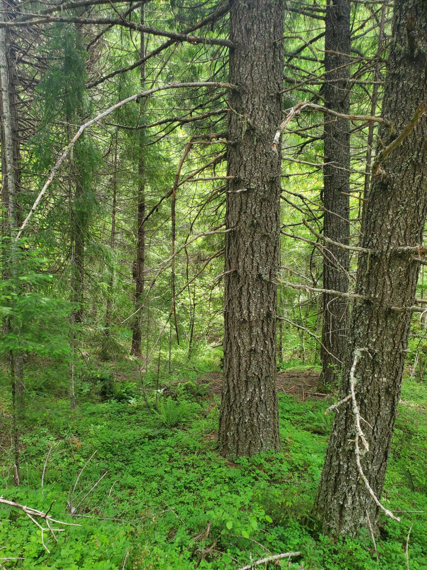 N/A - Commercial Sale