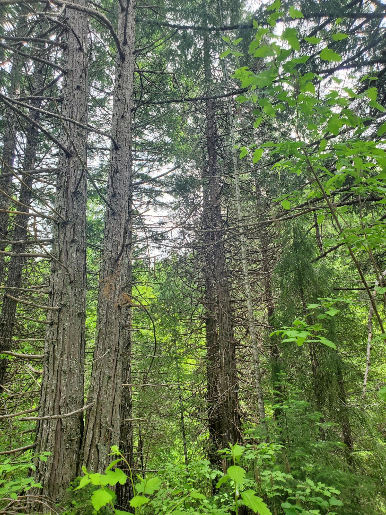 N/A - Commercial Sale