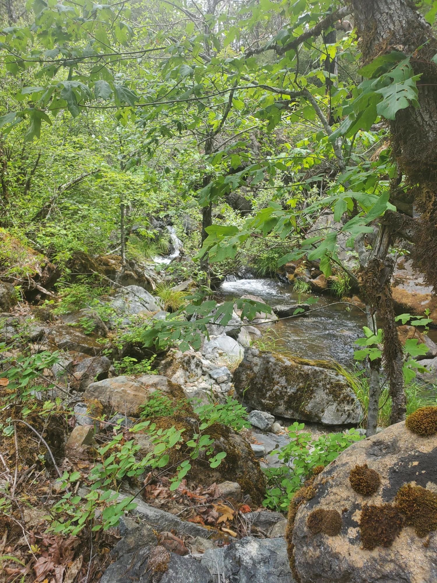 N/A - Commercial Sale