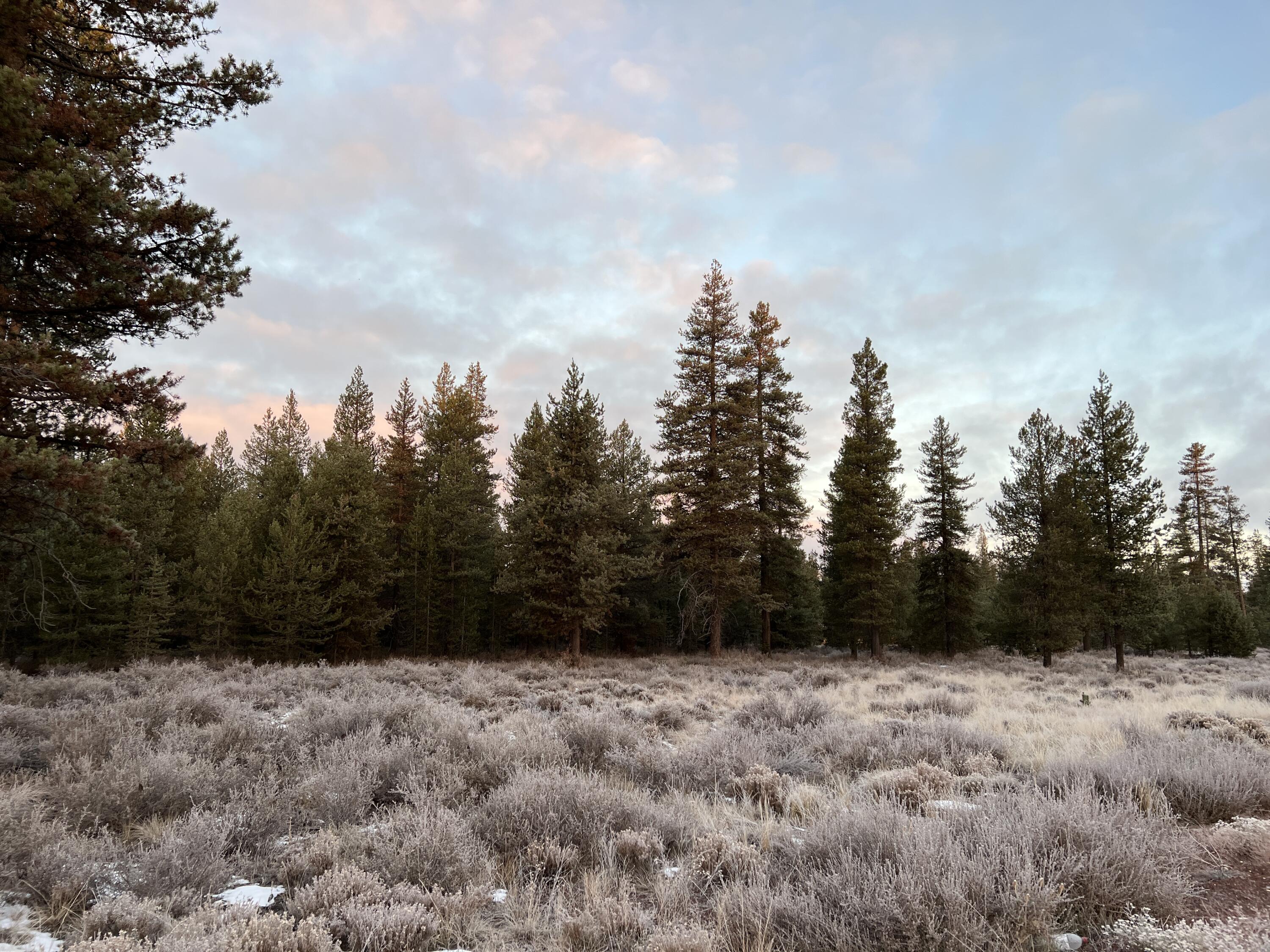 HWY 97 201