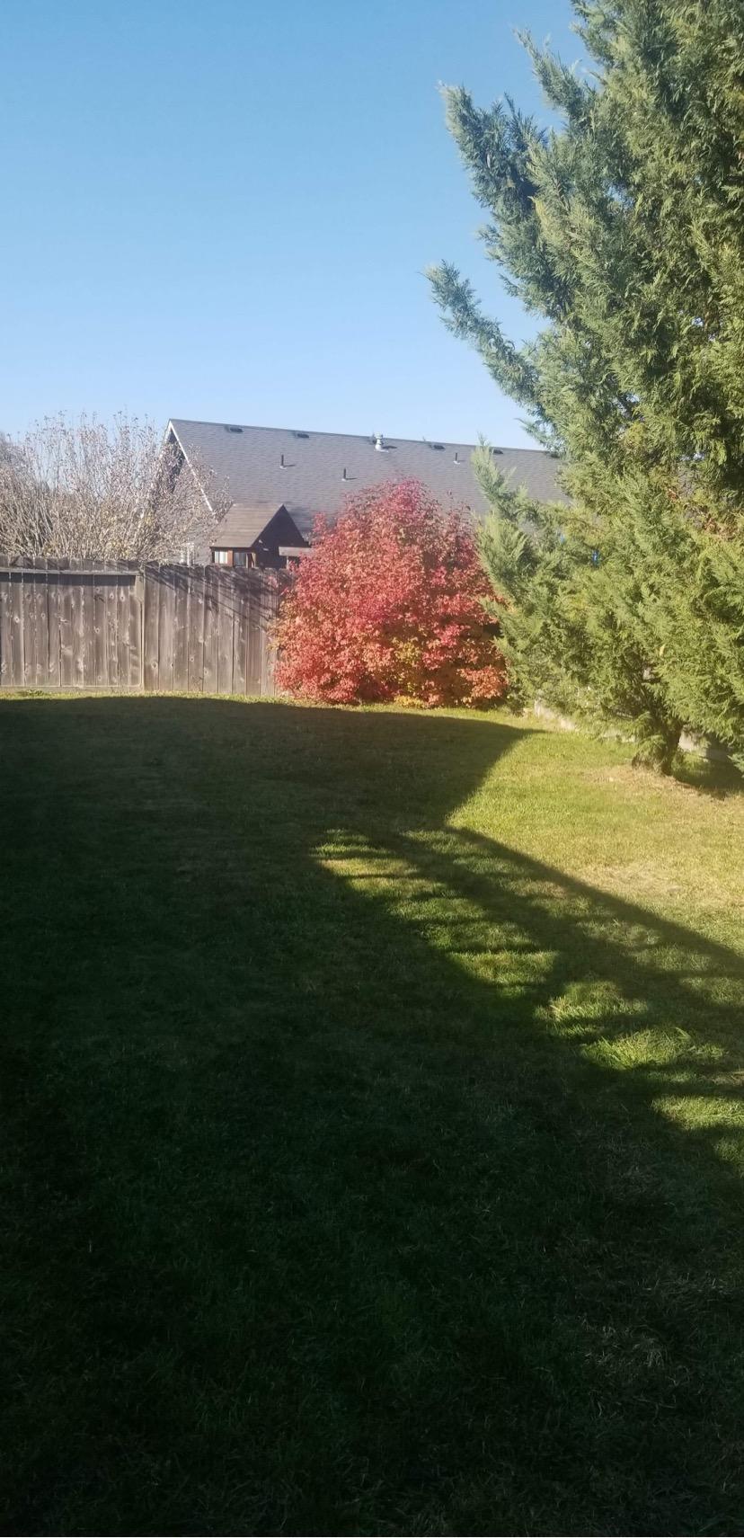 Allen Creek Subdivision - Residential