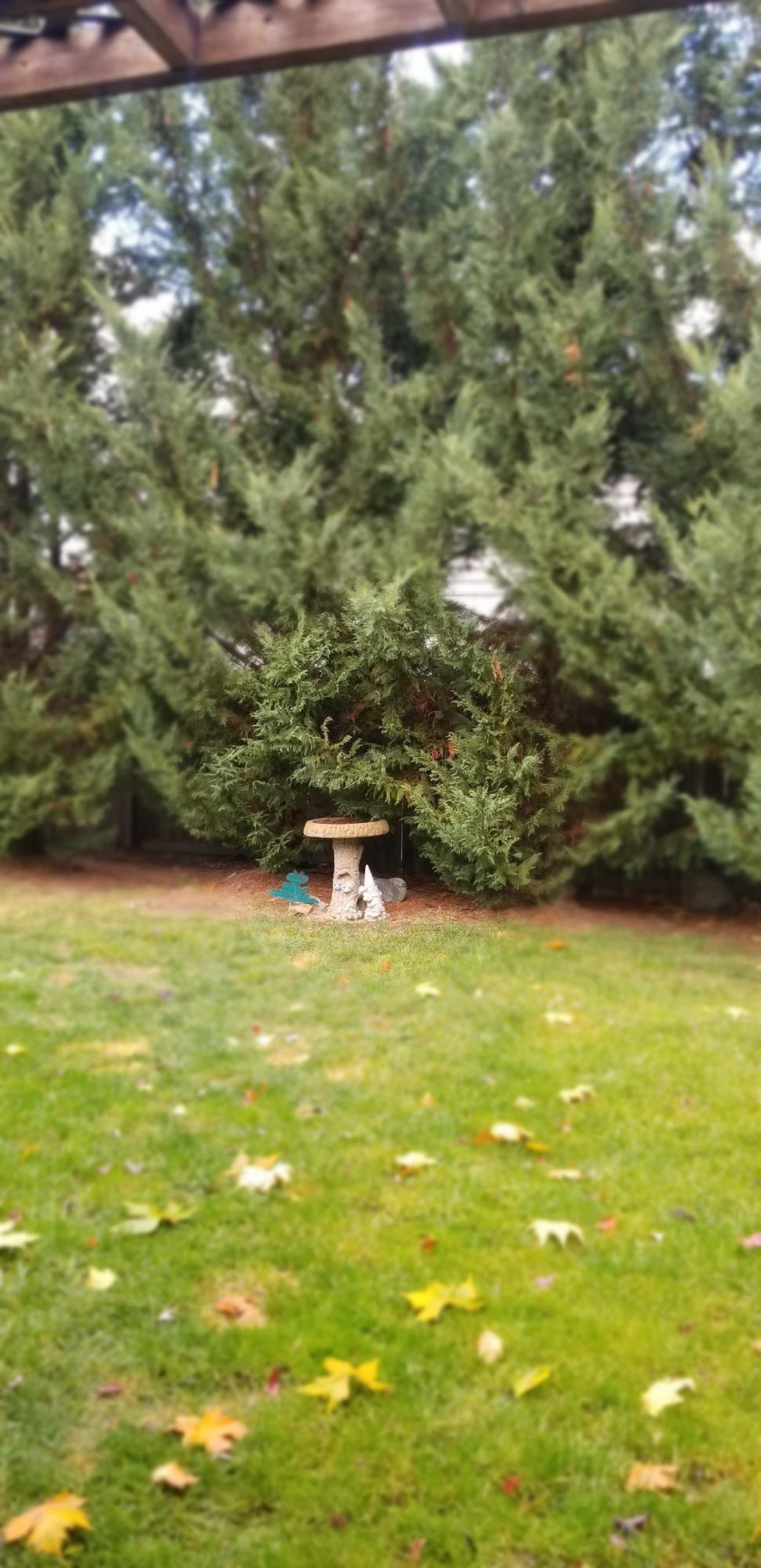 Allen Creek Subdivision - Residential