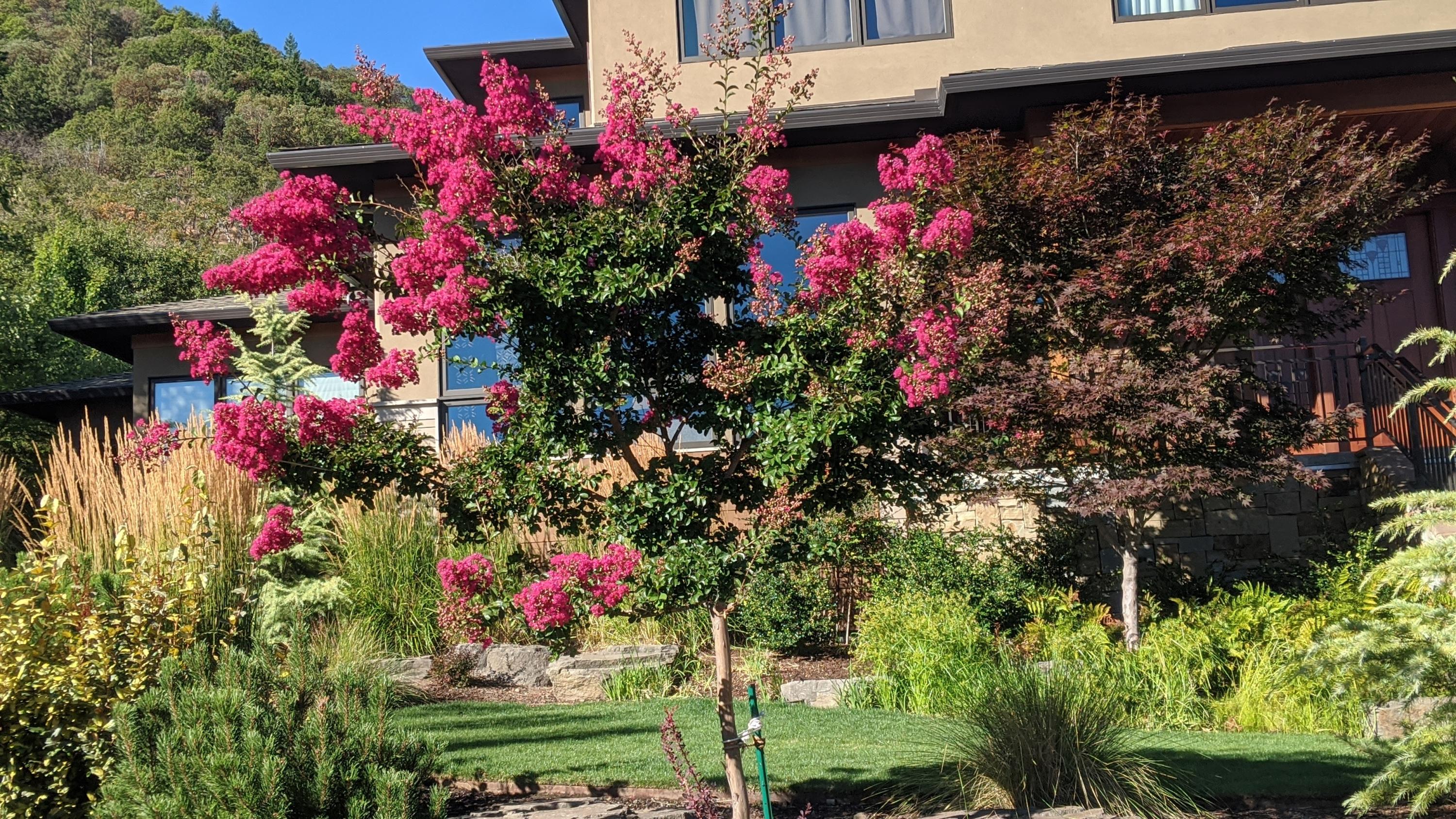 Strawberry Meadows Subdivision - Residential