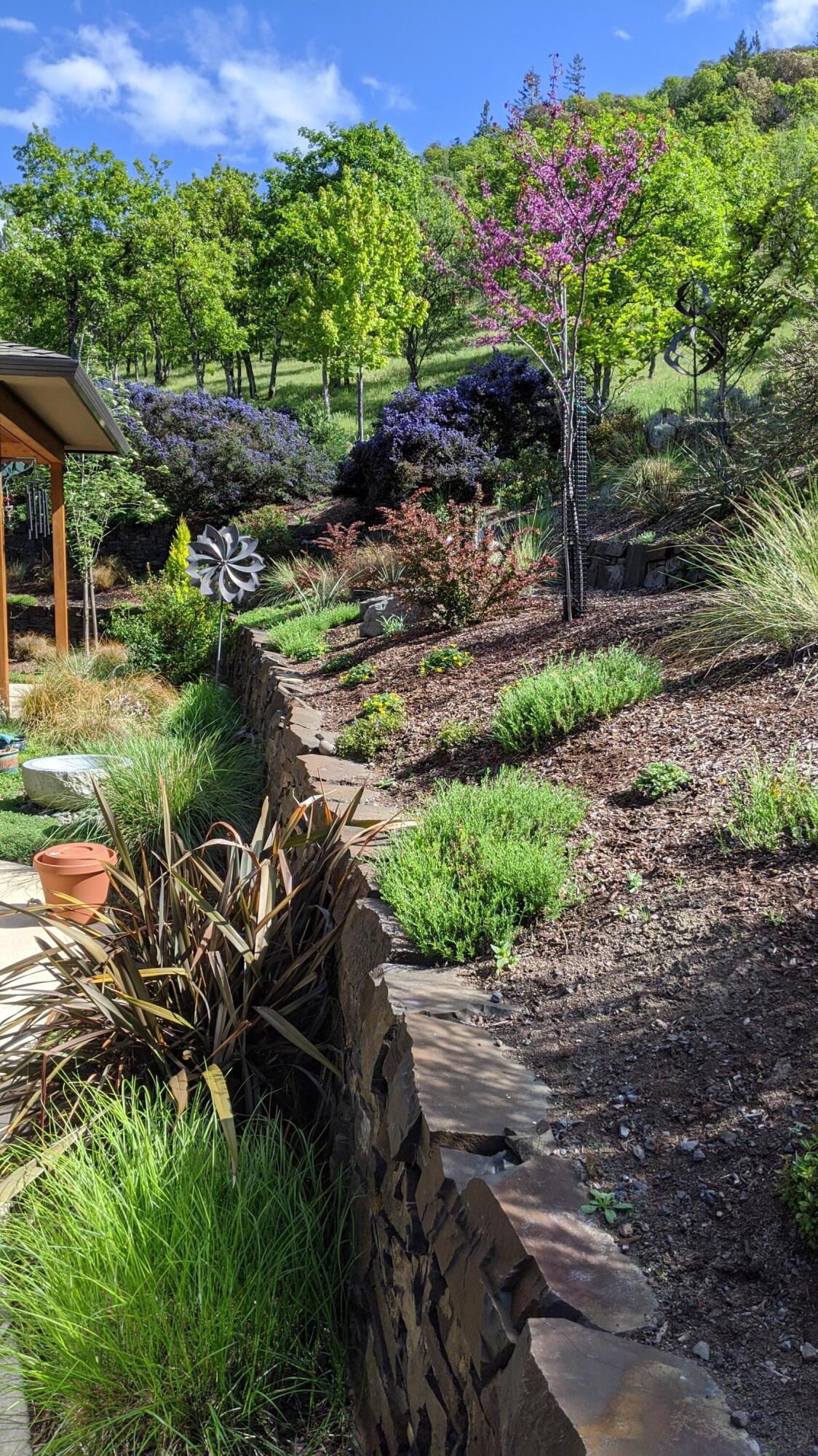 Strawberry Meadows Subdivision - Residential