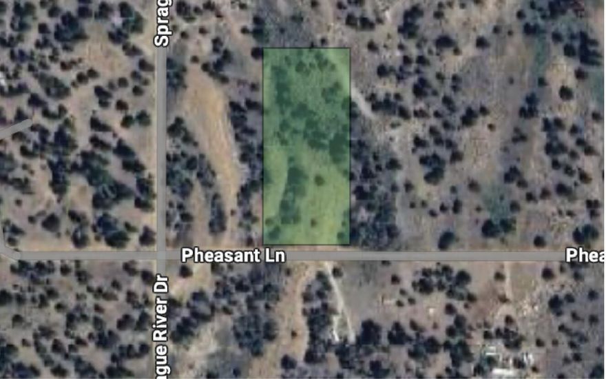 Rural 2.44 acre residential lot w/native vegetation an trees. Power available at street, needs well & septic. Located approx 45-60 mins from Klamath Falls.