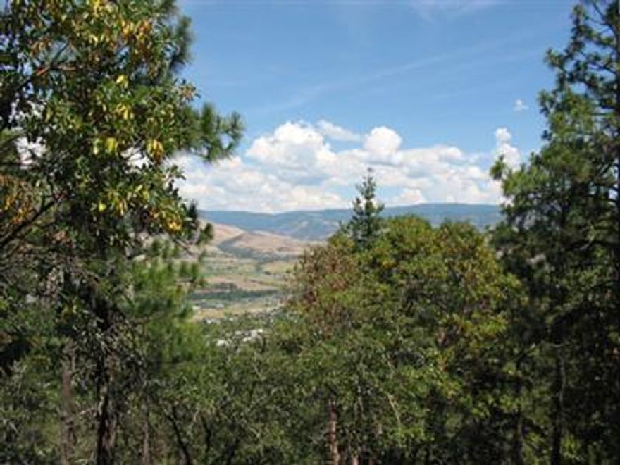 Private, private lot. Views too. Paved driveway from Hitt Rd. to the lot. Underground utilities. Blocks to downtown and trails. A special retreat. Best to view from top from Hitt Rd. beyond gate.