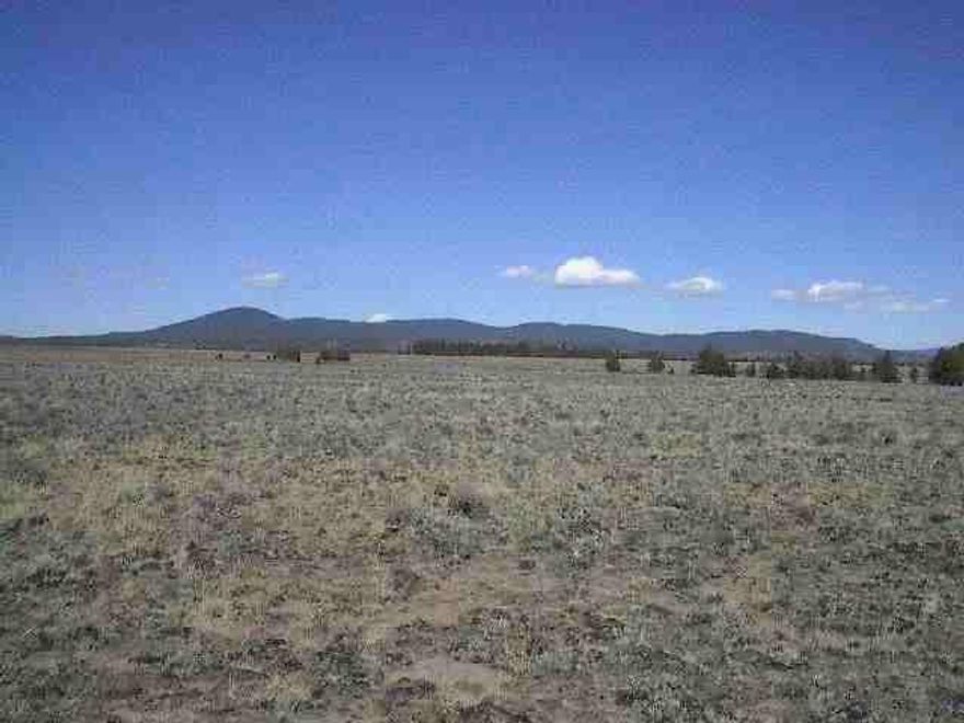 Table Land With Seasonal Creek. Level Rocky Ground. Wooded Along Creek Area. Some Timber. Dirt Road Nearby But No Legal Access. Fenced Along West Boundary.