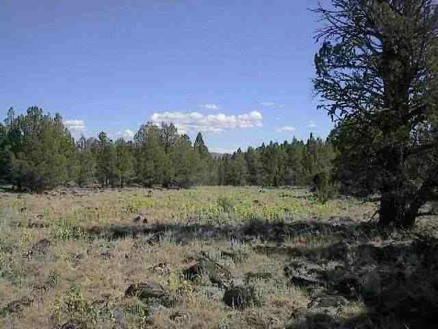 Sprague River - Land