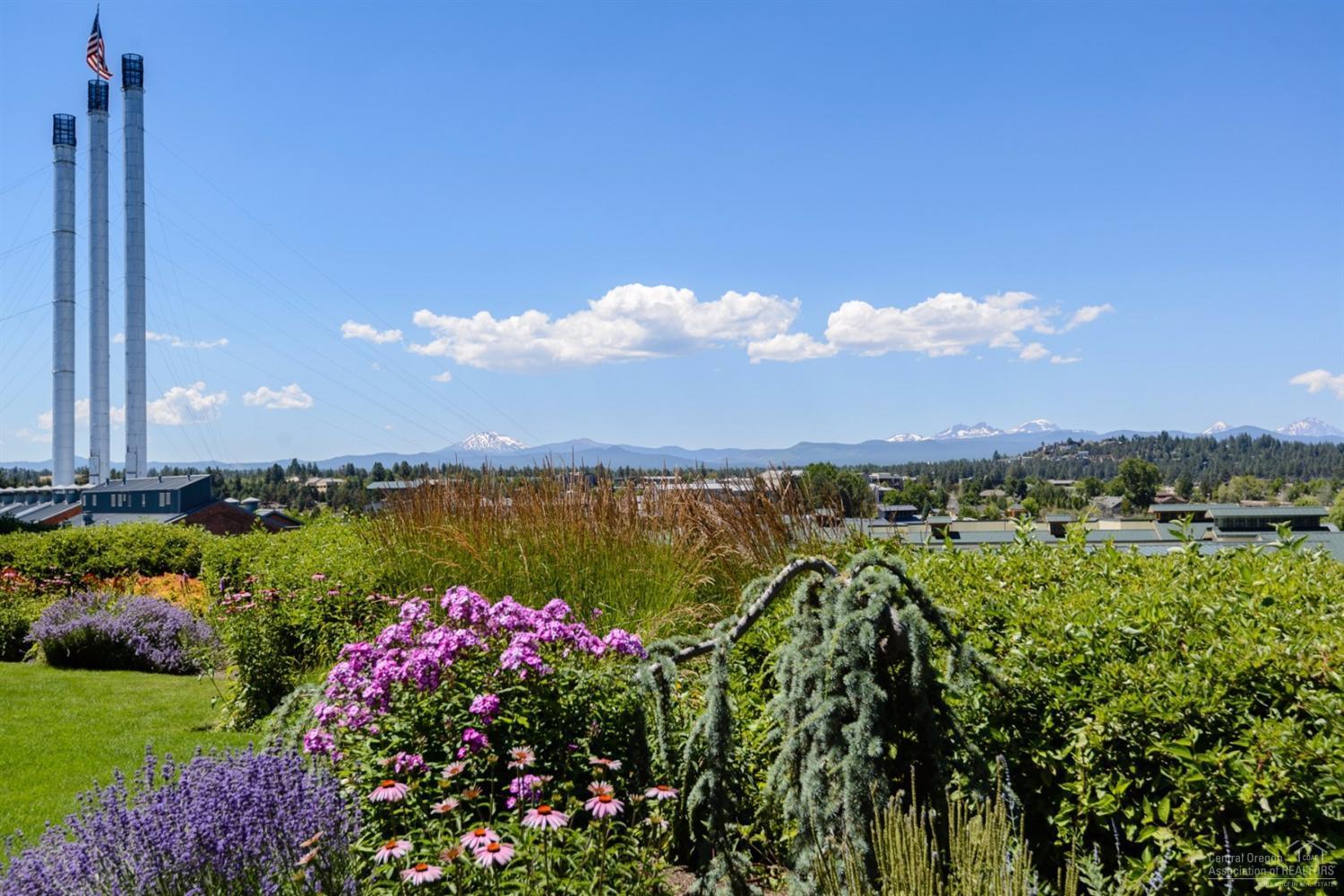 Plaza Condominiums - Residential