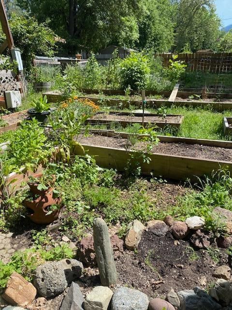 Tiny photo for 3072 Griffin Creek Road, Medford, OR 97501 (MLS # 220215844)