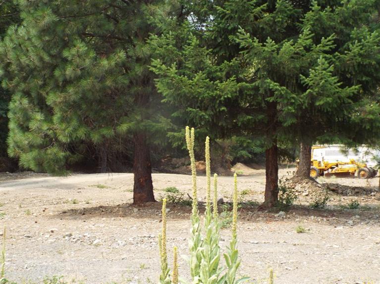 Ponderosa Ranch - Residential