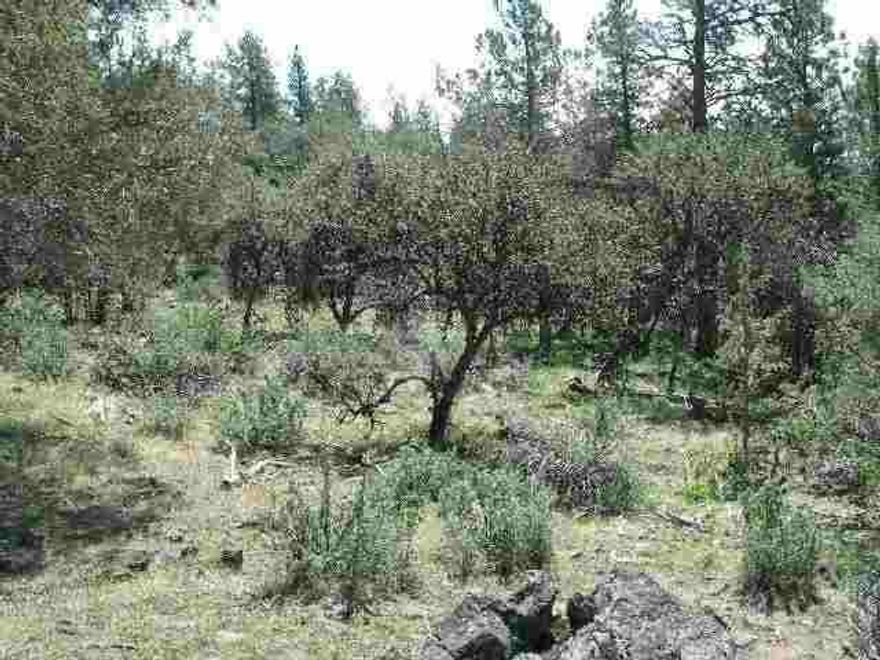 1.62 Acre Lot In Area Of Good Wells. Power Runs At Back Boundary Line. Some Very Pleasant Views From Lot.