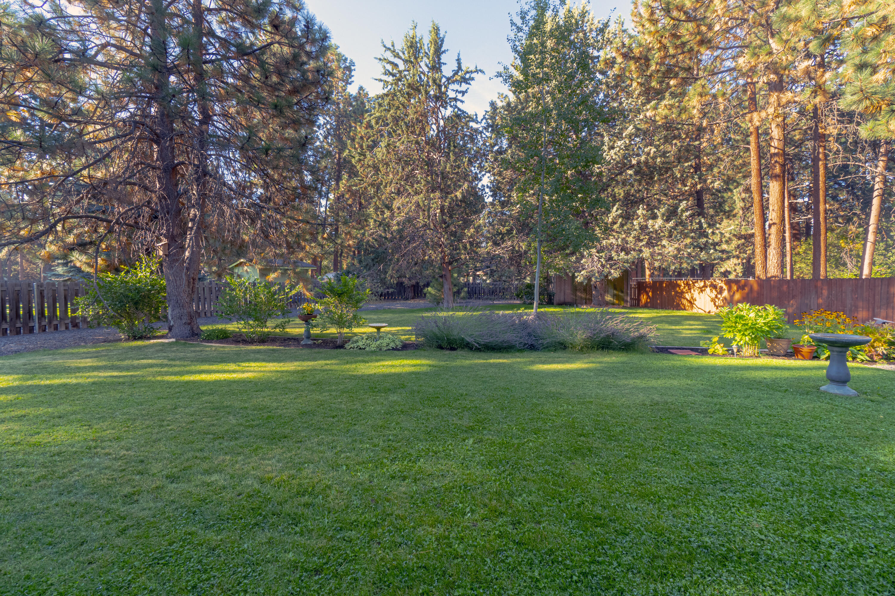 Homestead - Residential