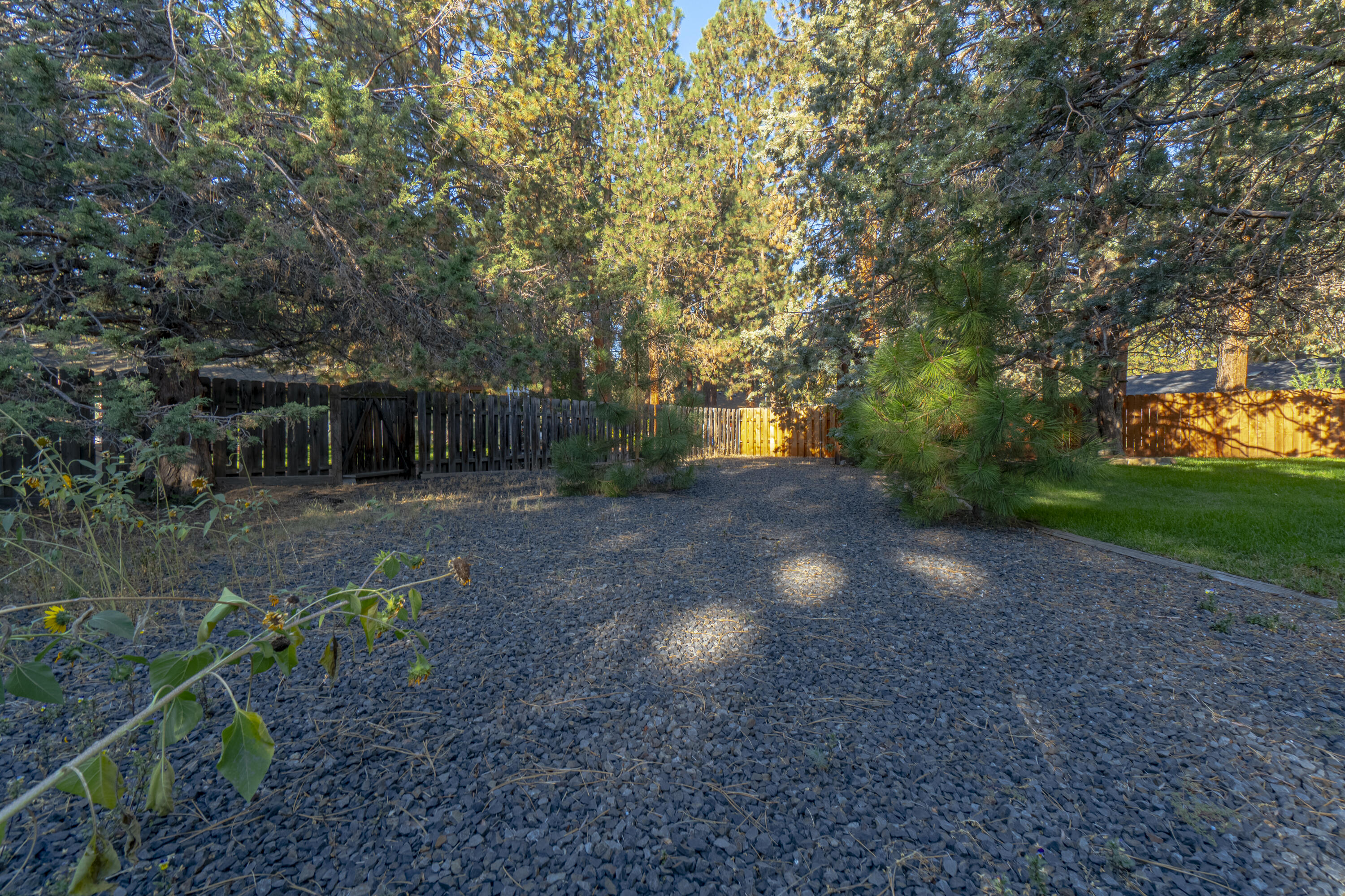 Homestead - Residential