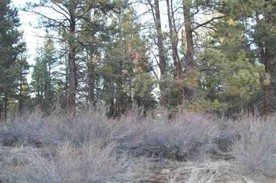 3.13 Acre Parcel In The Sprague River Area. Parcel Backs Up To The Forest.