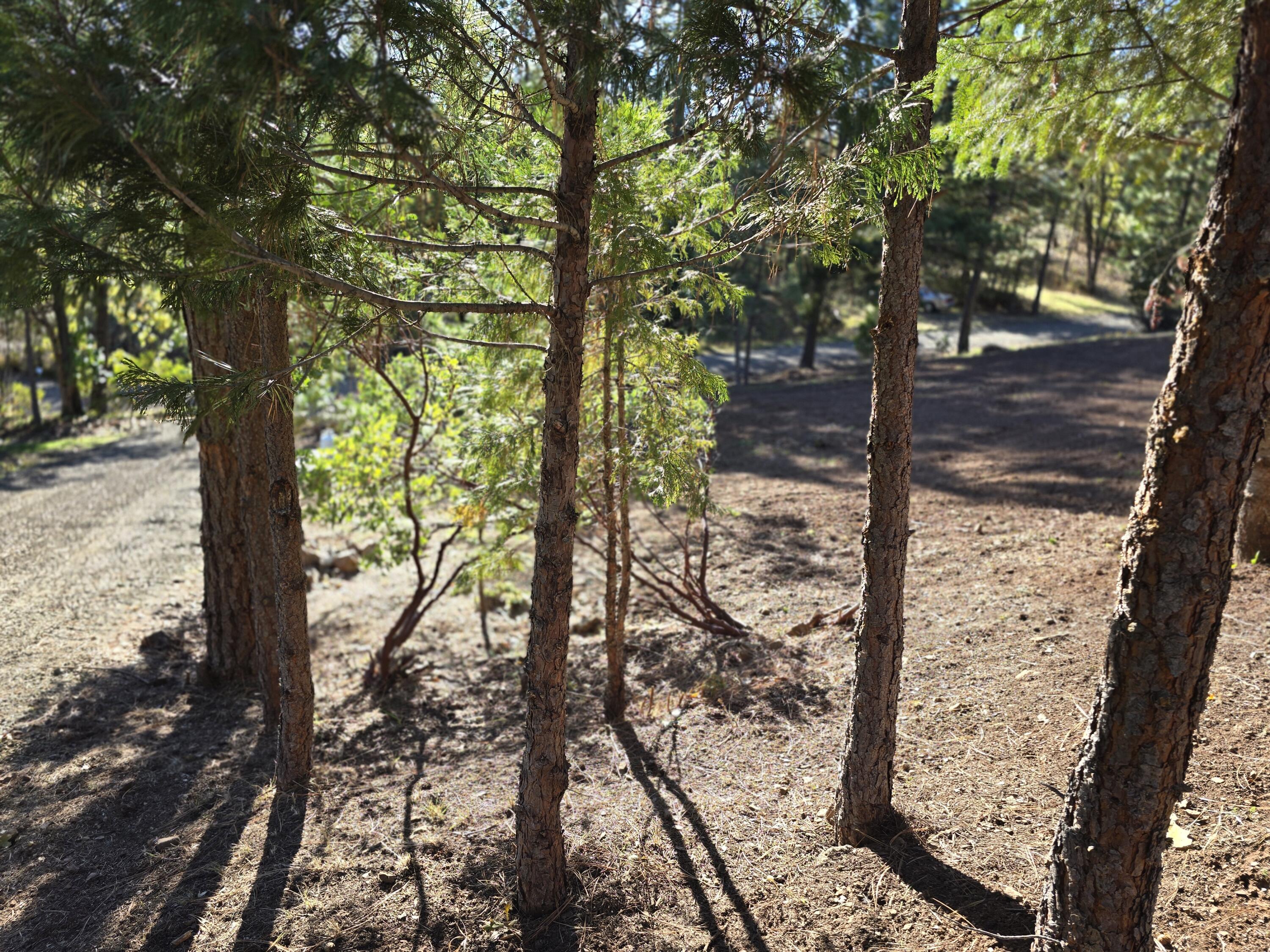 Evergreen Meadows Subdivision - Residential