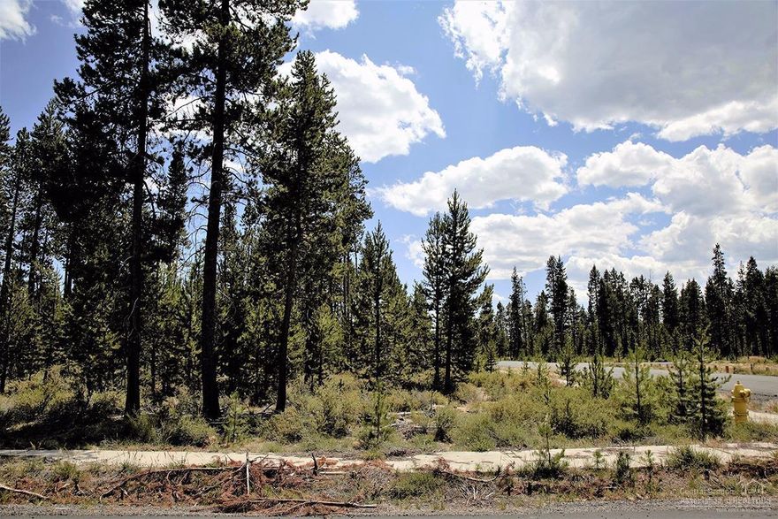 Ready-to-build residential lot available for less than replacement cost! Bring your builder & build your dream home or purchase as an investment! This may be one of the last opportunities to own a residential lot in Central Oregon at these prices! La Pine is booming and these lots are priced to sell! Lots available as individual sales or bulk discounts. Inquire for details & don't miss this opportunity!