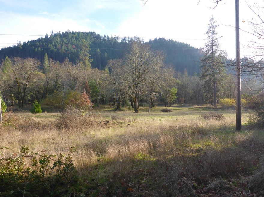 3 Bed 2 Bath Mobile on 3.88 acres of Level Usable Land. Zoned EFU with Deer Creek Frontage, Two Wells and (as per seller) a Year Round Pond. One well is currently in use, the other is capped. Lots of full sun, Garden area, RV Parking and Plenty of Room For Animals. Concrete slab floor garage, with Shop Area and Wood Storage. Partially Fenced. The Mobile is Livable and has Deferred Maintenance. Wheel Chair Accessable. Live in the Mobile while building your New Home here. Buyers to do all due diligence. Will not qualify for traditional financing. Cash or private money.