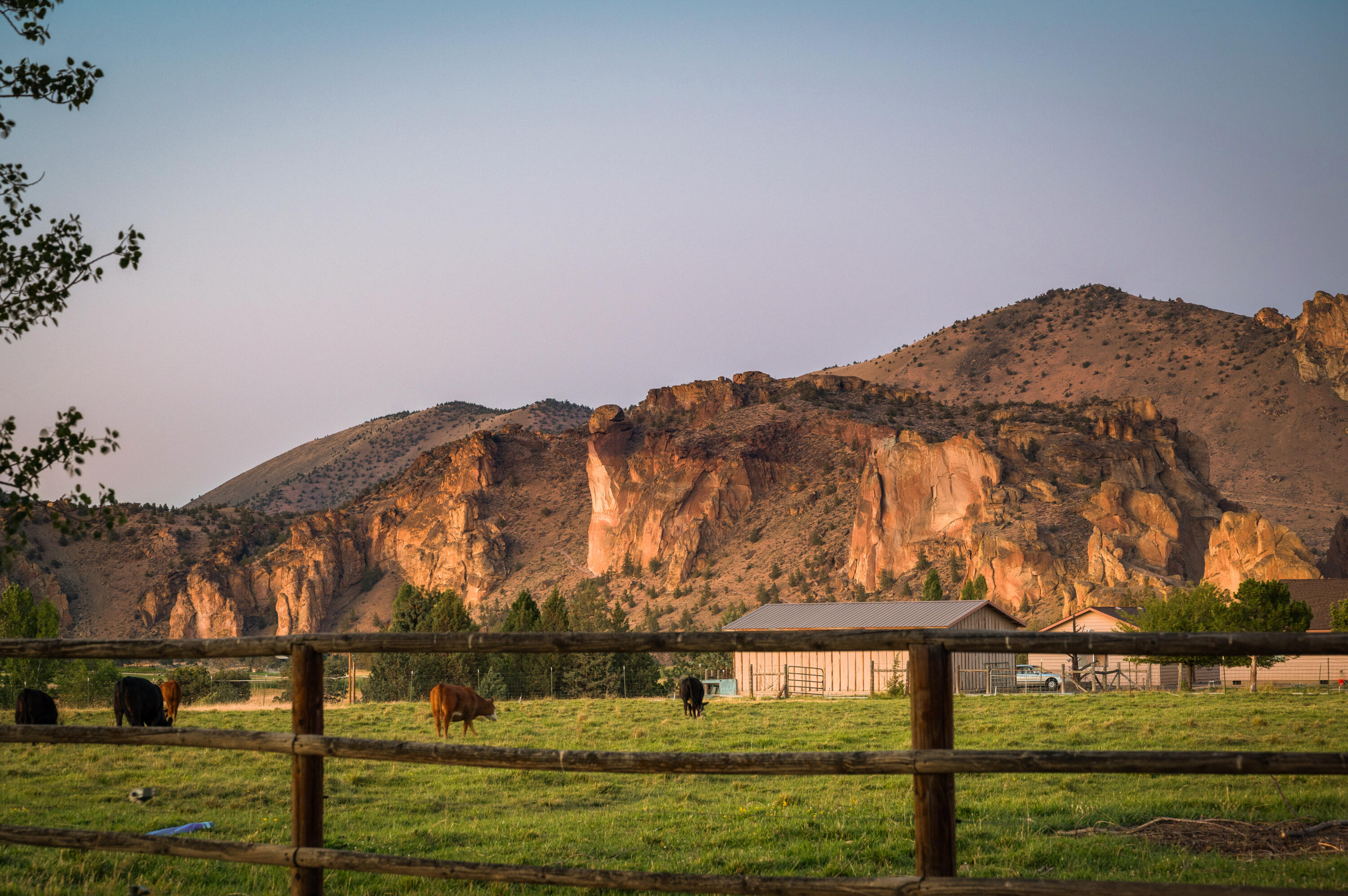 Harris Estate - Residential
