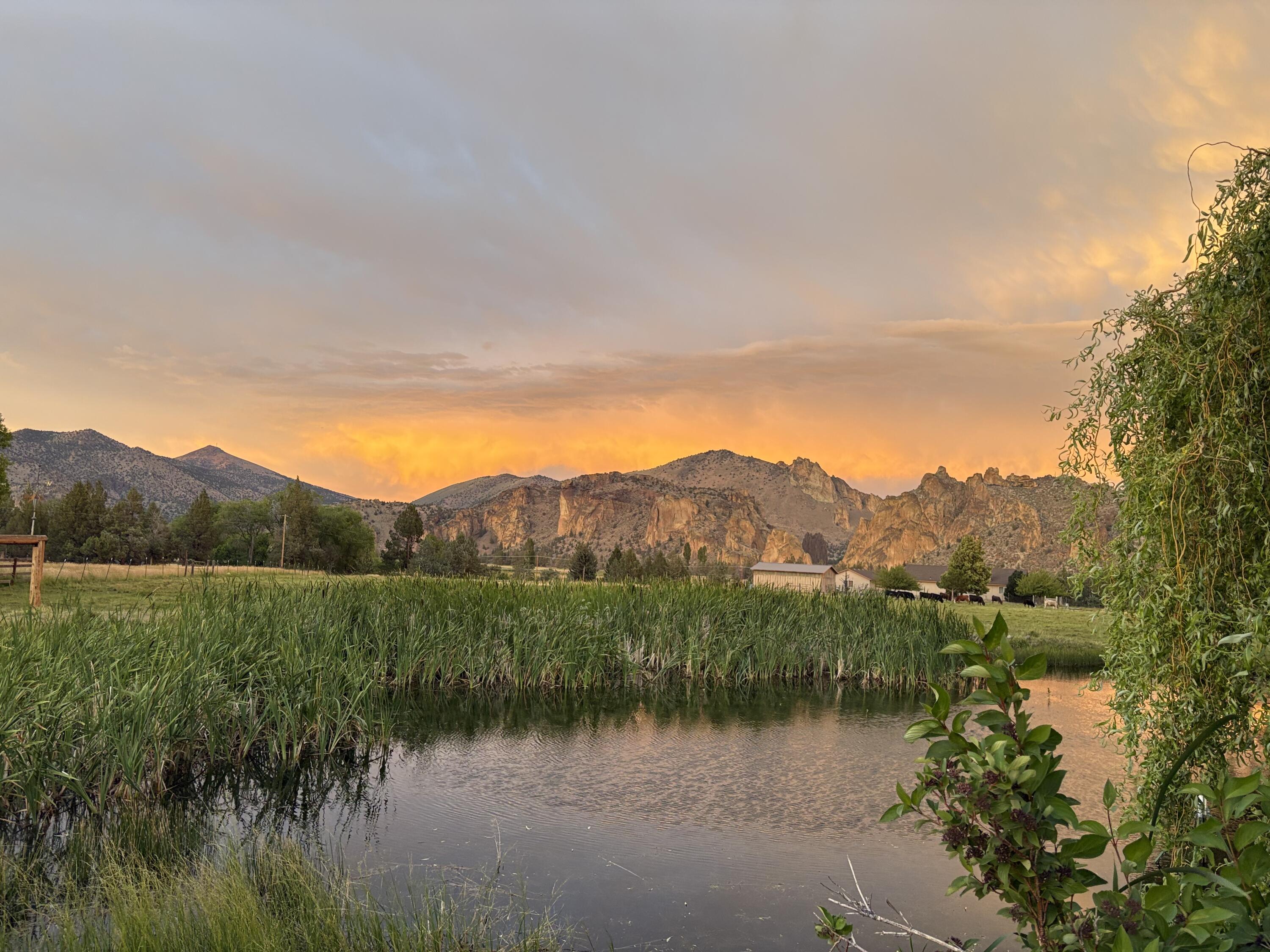 Harris Estate - Residential