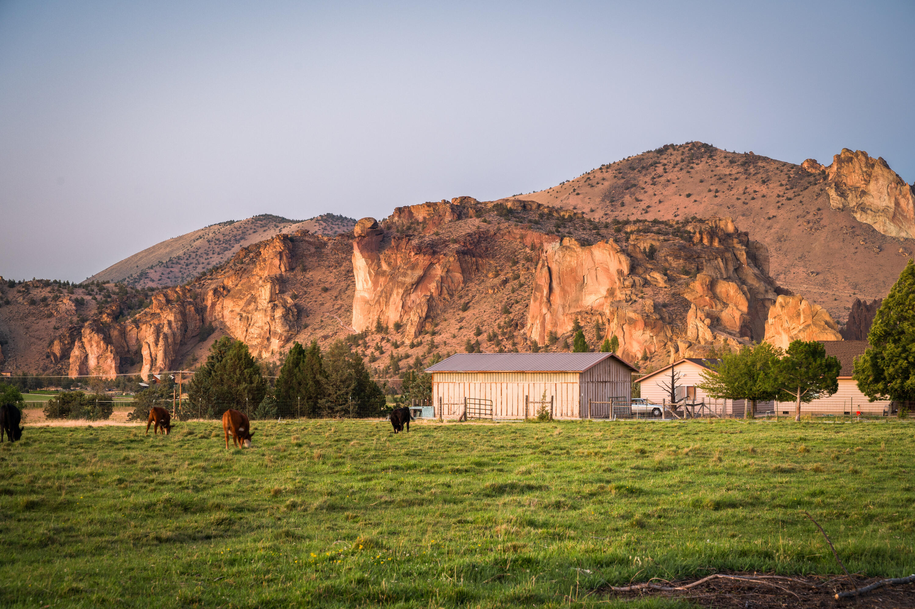 Harris Estate - Residential
