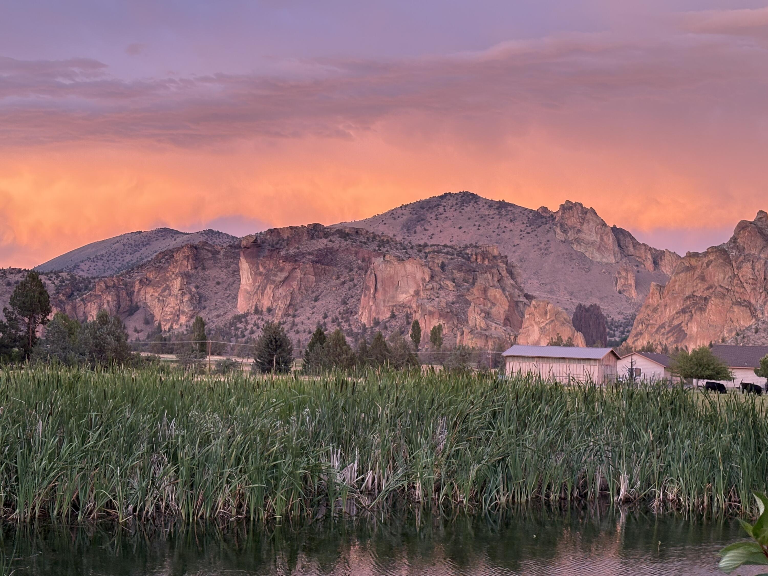 Harris Estate - Residential