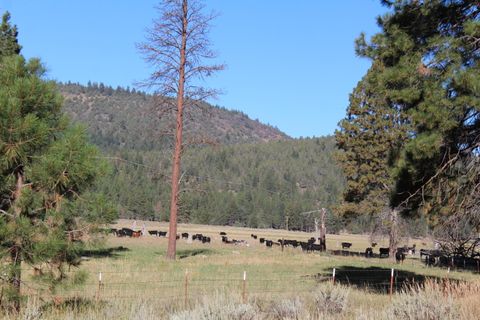 10612 Old Fort Klamath Falls OR 97601