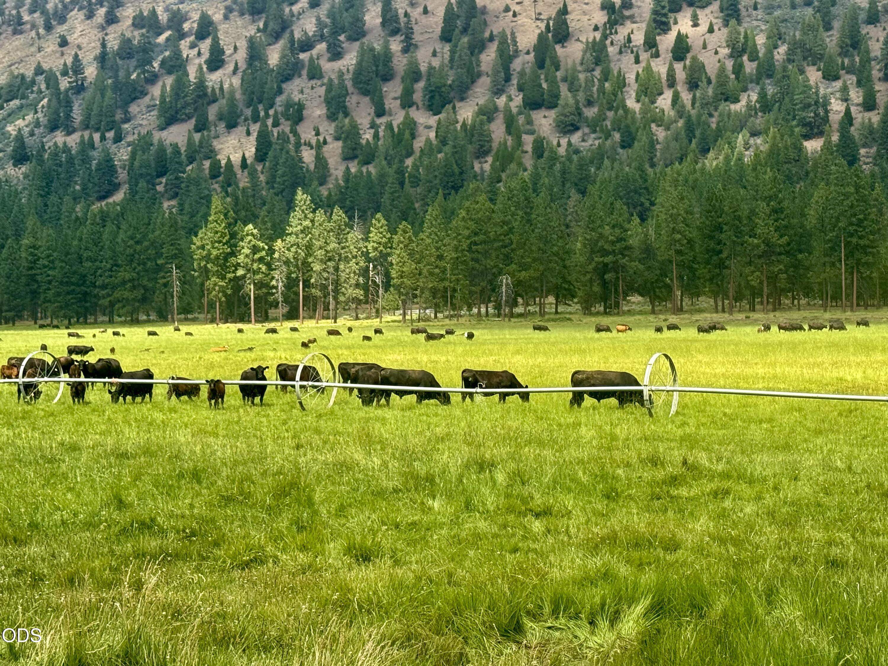 80 Acres
