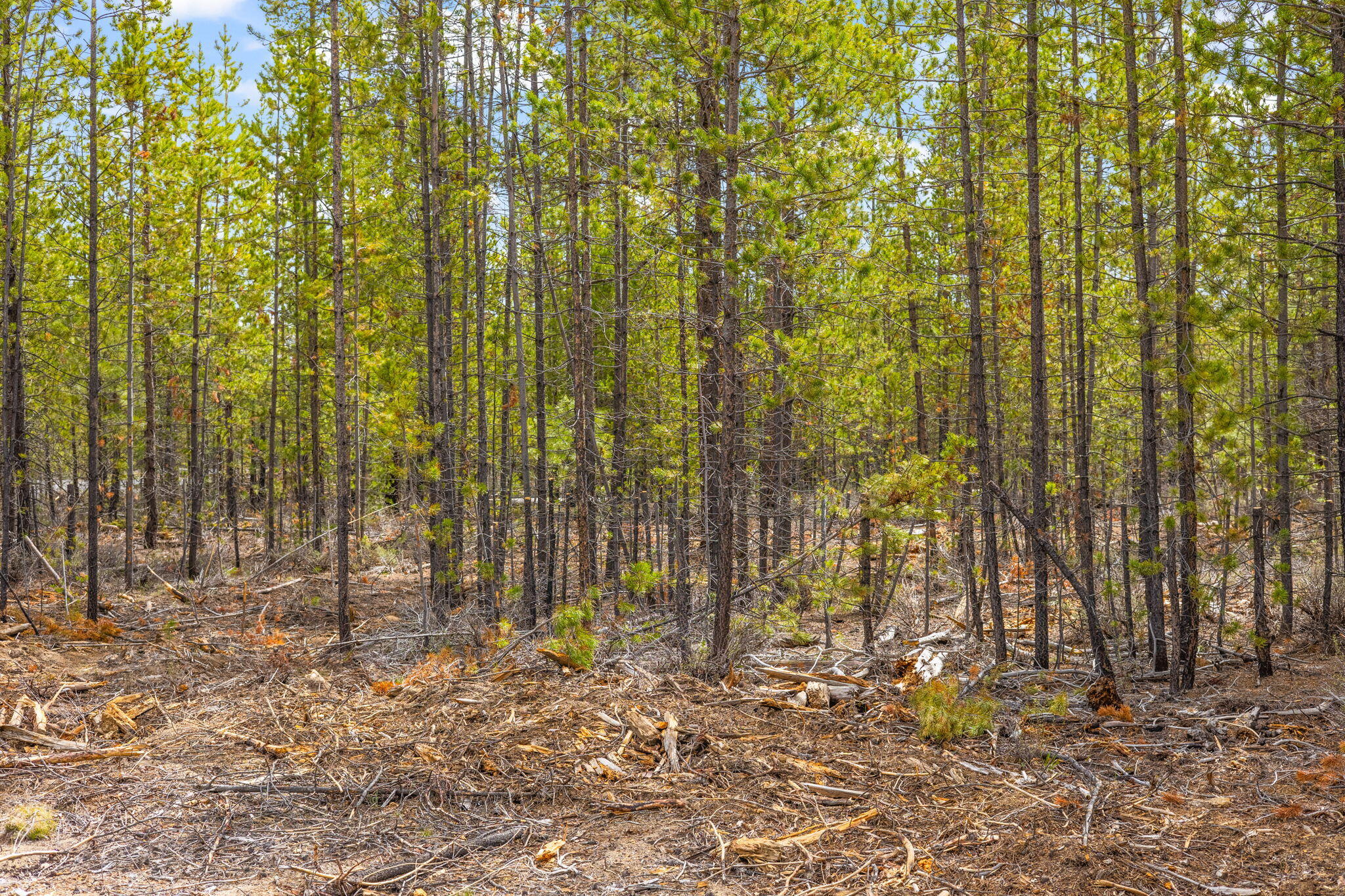 Wagon Trail Acreages - Land