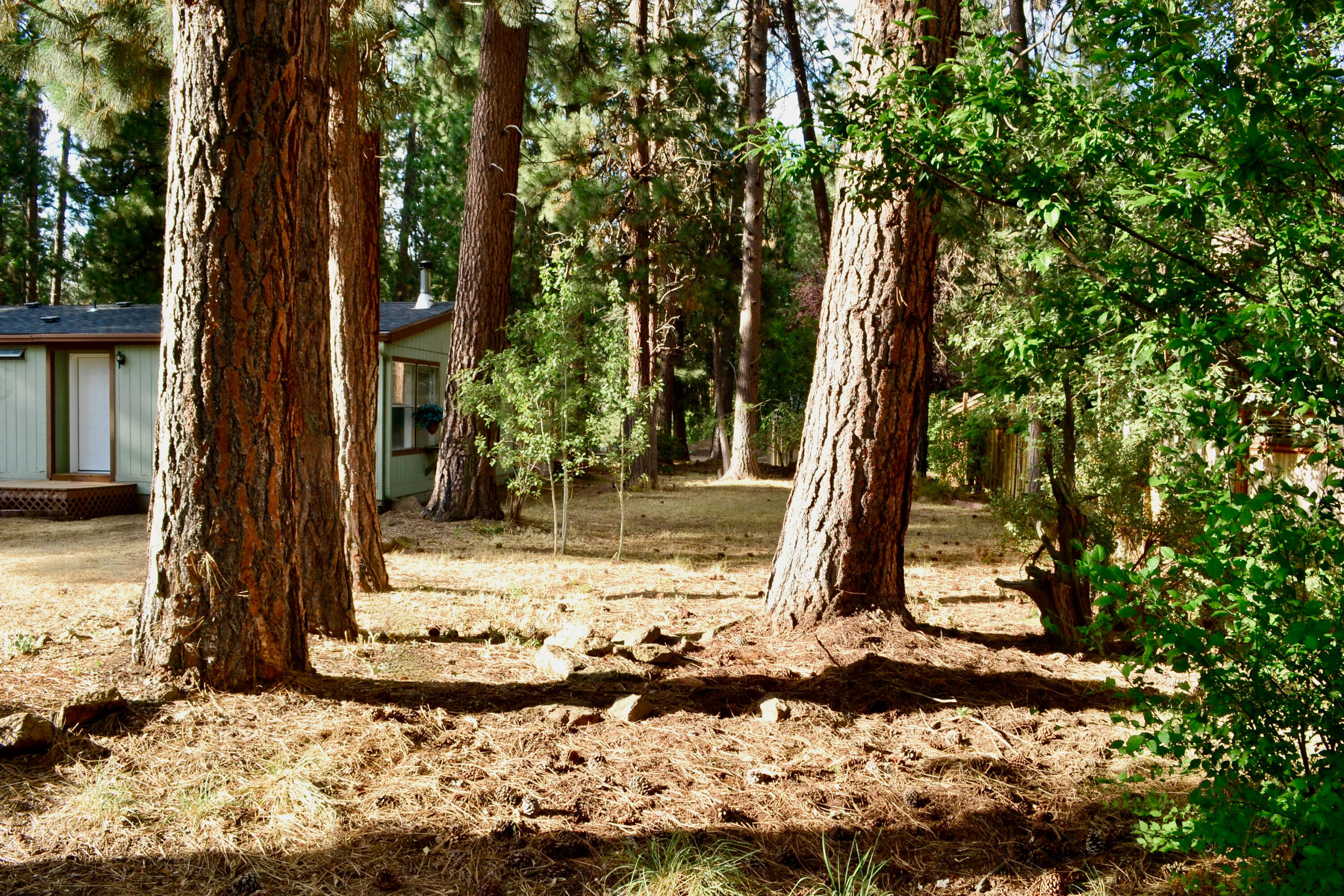 Deschutes RiverWoods - Residential