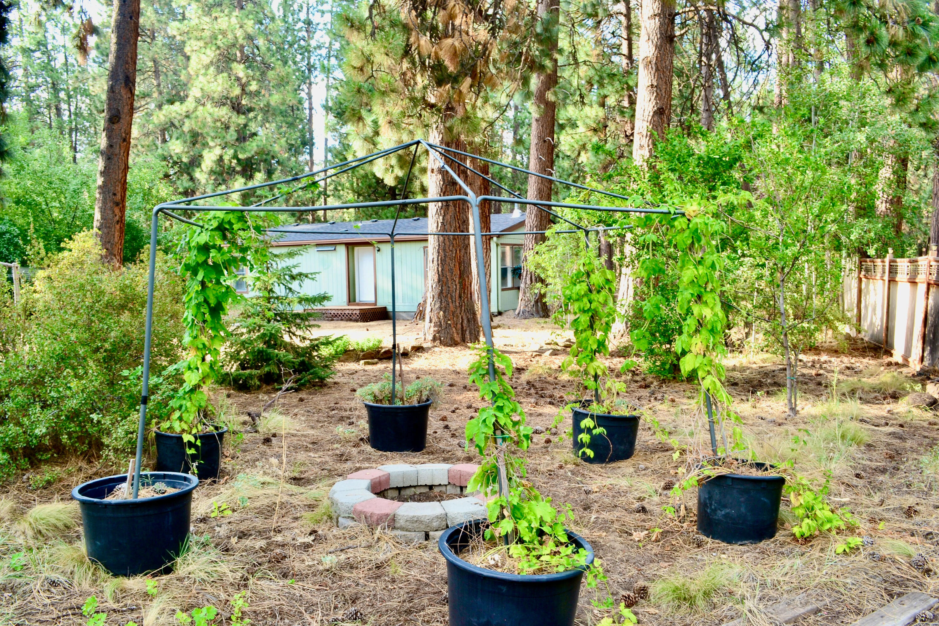 Deschutes RiverWoods - Residential