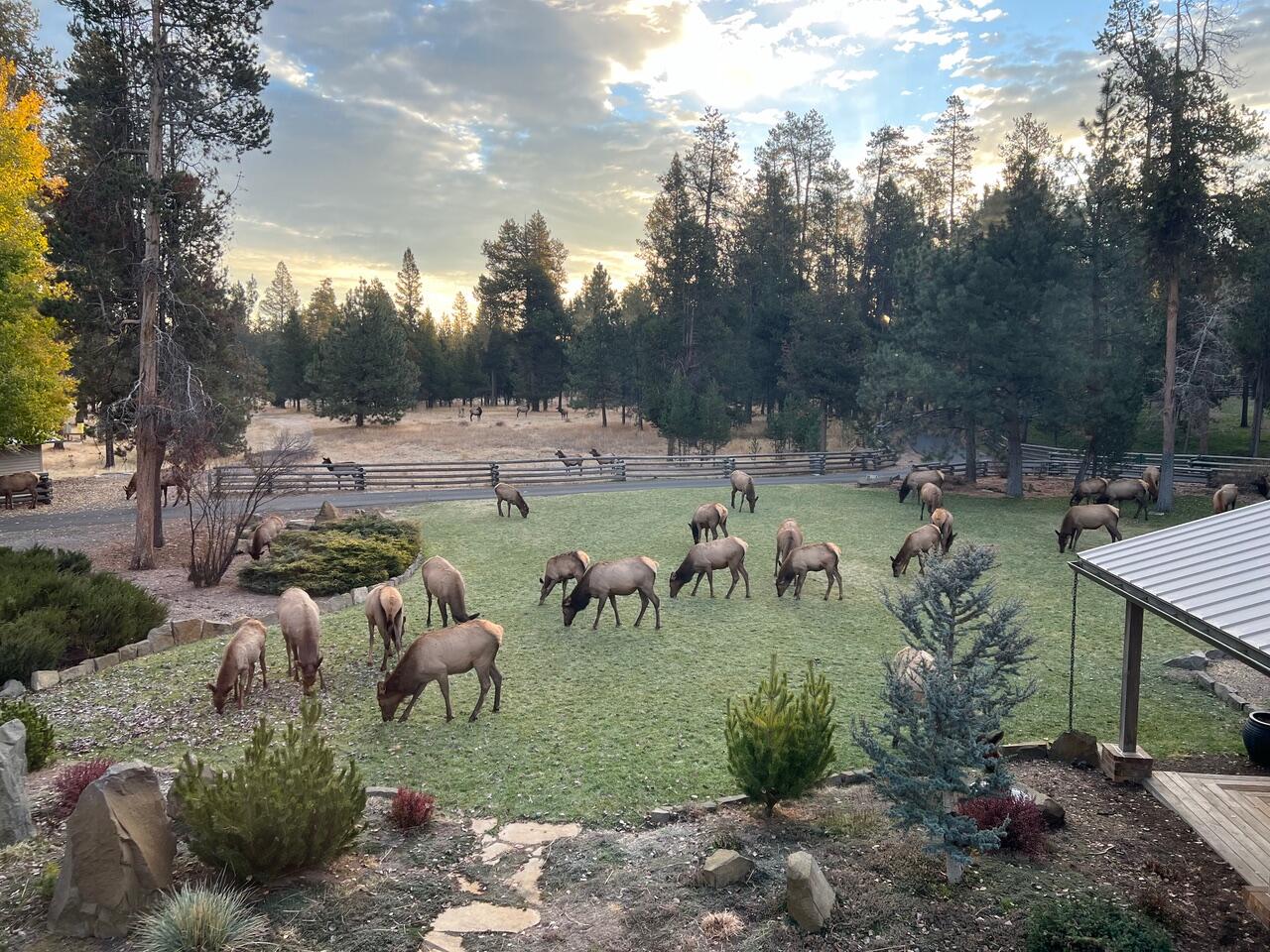 Blissful Acres - Residential