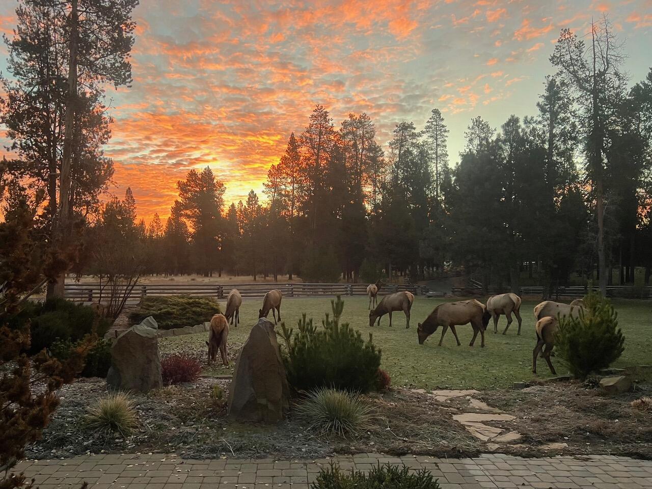 Blissful Acres - Residential