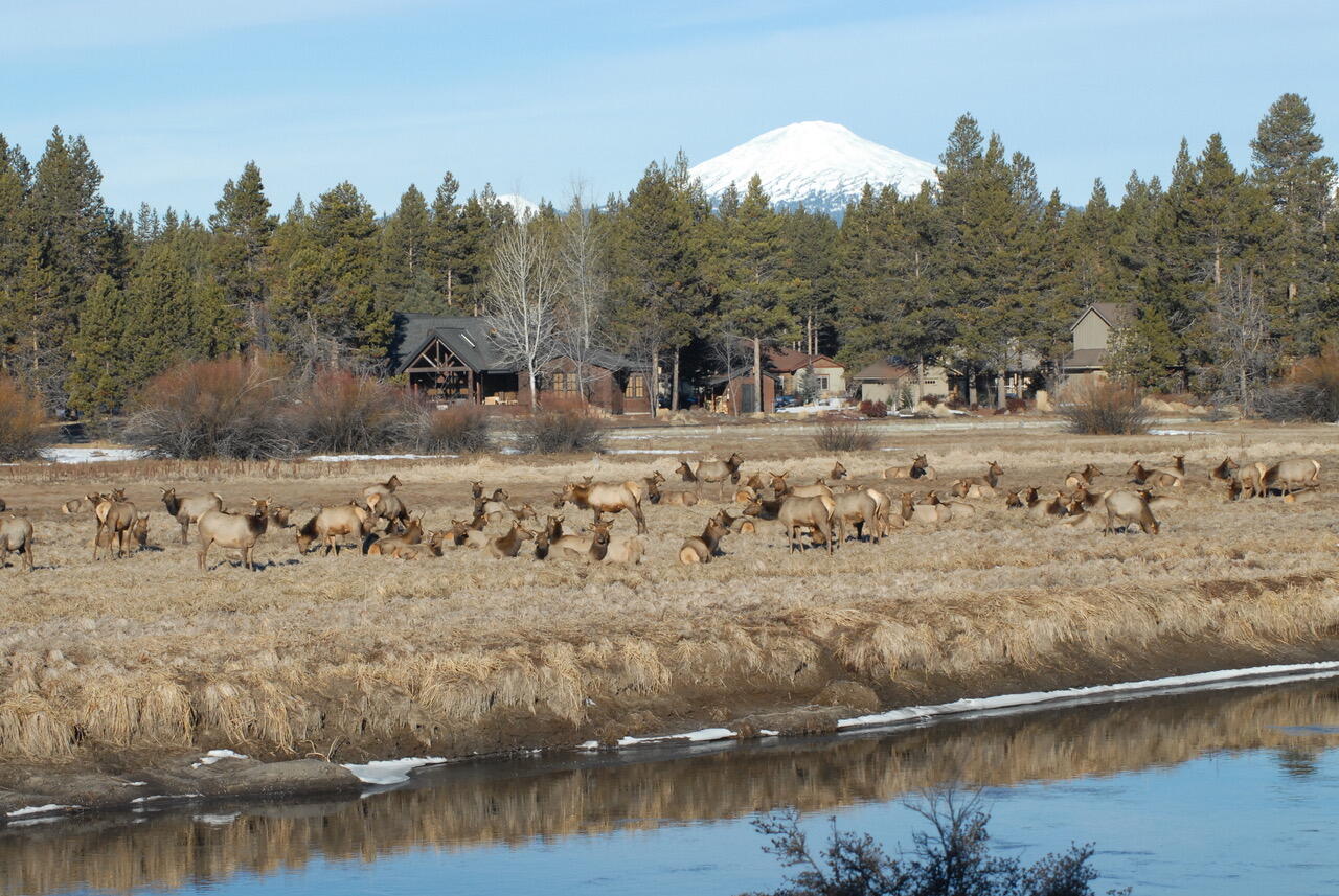 Blissful Acres - Residential