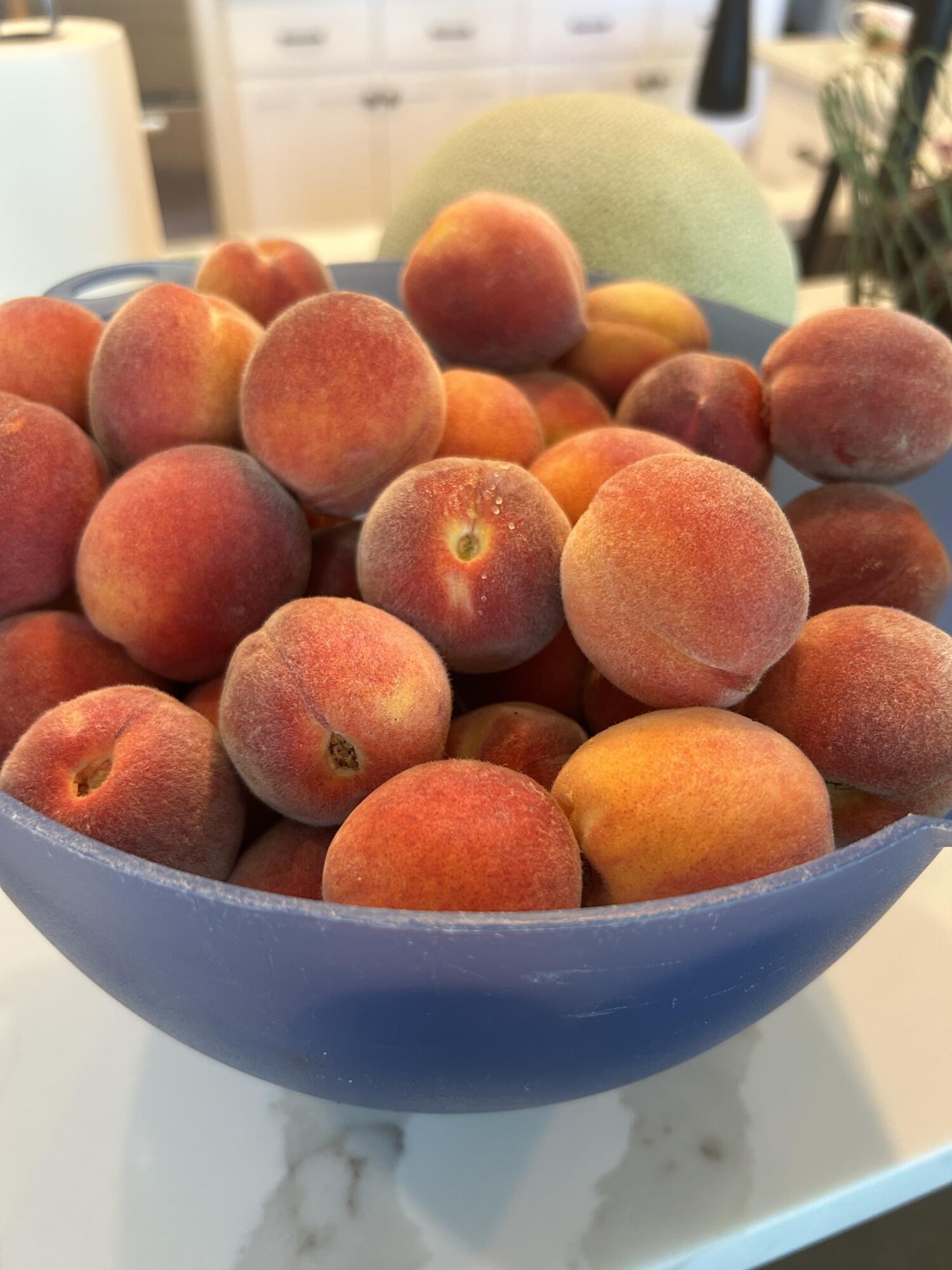 Broken Top - Residential