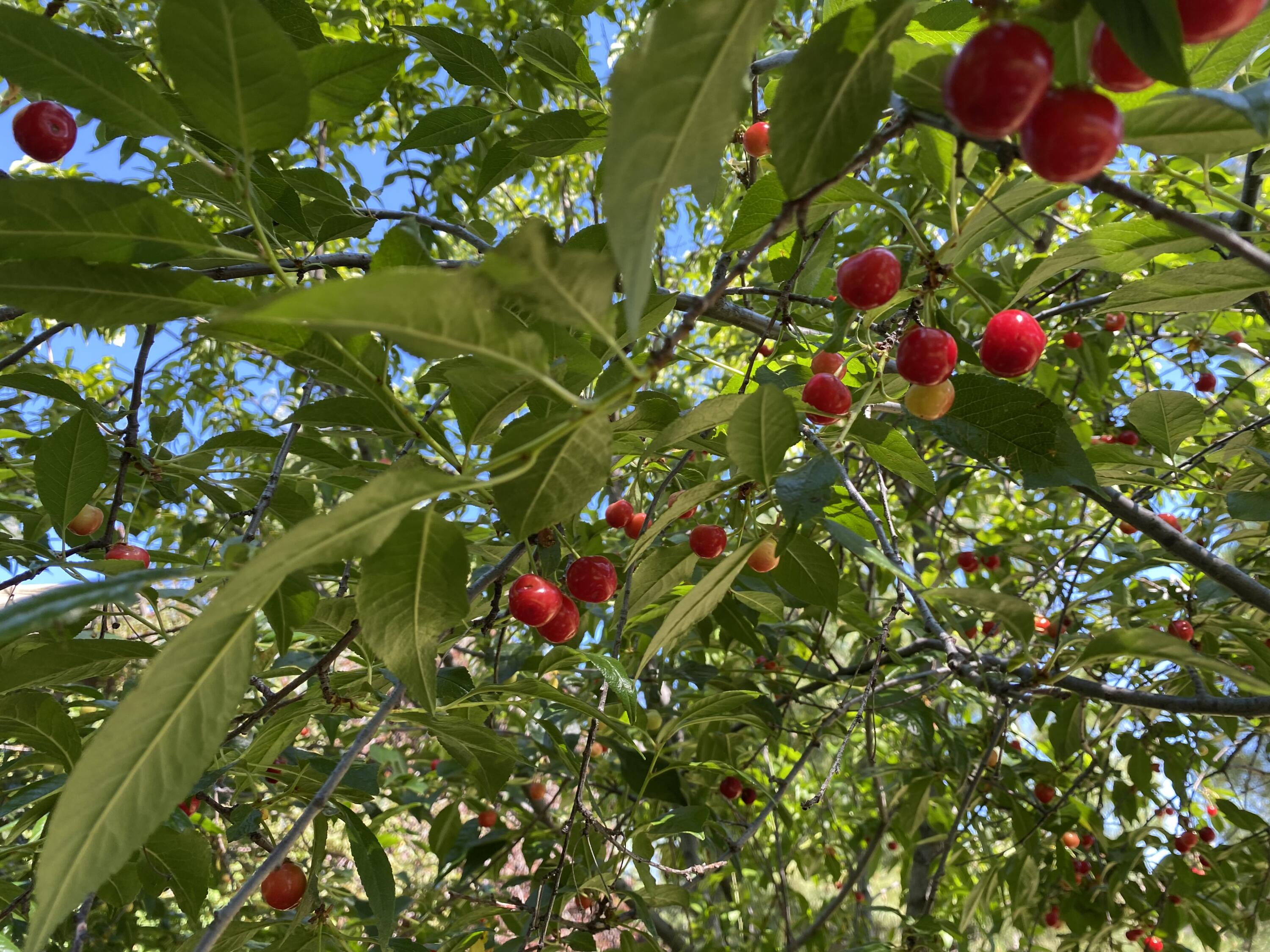 Broken Top - Residential