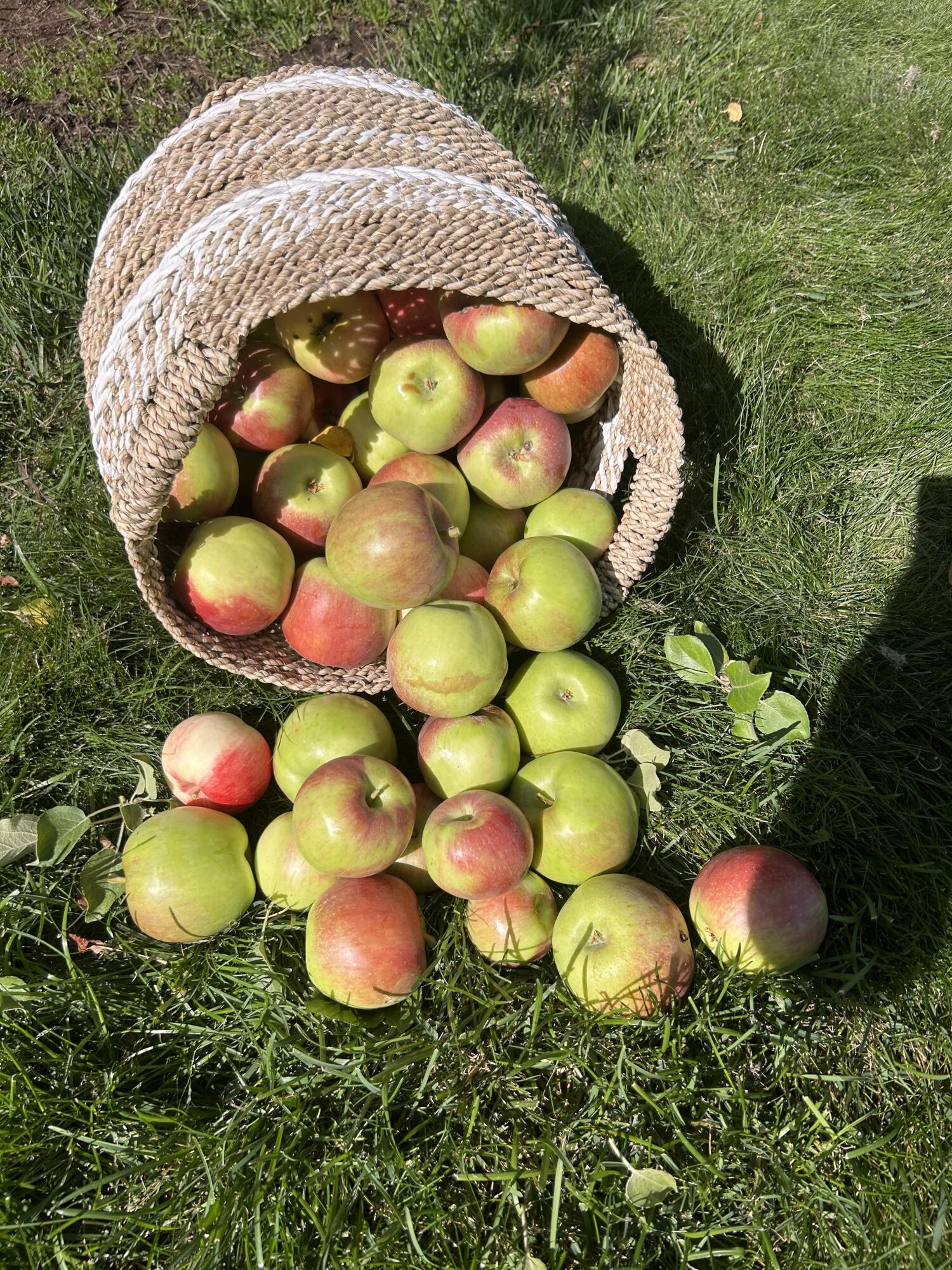 Broken Top - Residential