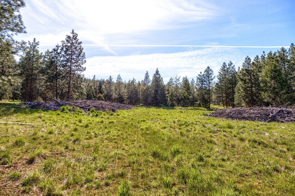 PENNY DR, ASHLAND, OR 97520 - Image 6343a014c28fa2c79982494c22a079c0/2590164187