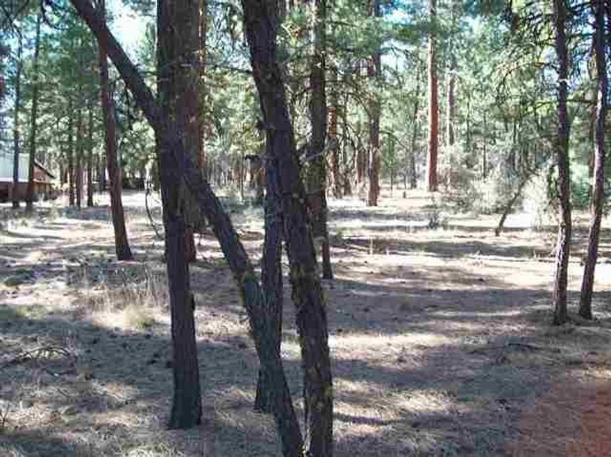 2.30 Acre Parcel In The Pines-unit Has Community Well To Haul Your Own Water For A Yearly Fee.