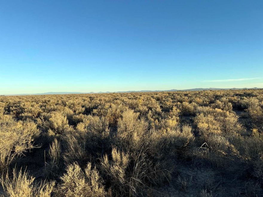 20 Acres with excellent road access and power nearby. Situated nicely just to the west side of Fossil, Lake Road. Old historic sand dune. A gentle hill to play on. Great camp and play site. This would make an excellent homestead or campsite for the toy-hauling crowd. Large light brush-covered parcel with many excellent building sites, area of excellent water wells, and easy perc for septic.