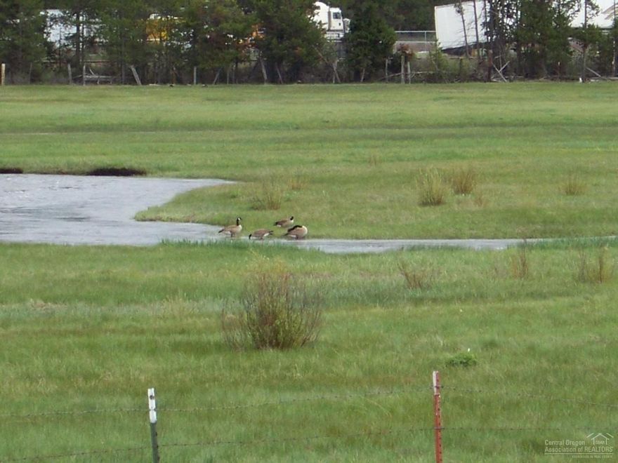 Excellent Riverfront, investment opportunity. 3 separate tax lots. 2 zoned R-2, 1 zoned Forestry (possibly could be split into 3 parcels). Currently has a huge barn/garage/shop building. Would make a fantastic place to build your dream home! Private, yet close to town! Has water and power to the property. Would make a fantastic place to have your horses. Could use the building currently on property for barn-stalls and hay storage.